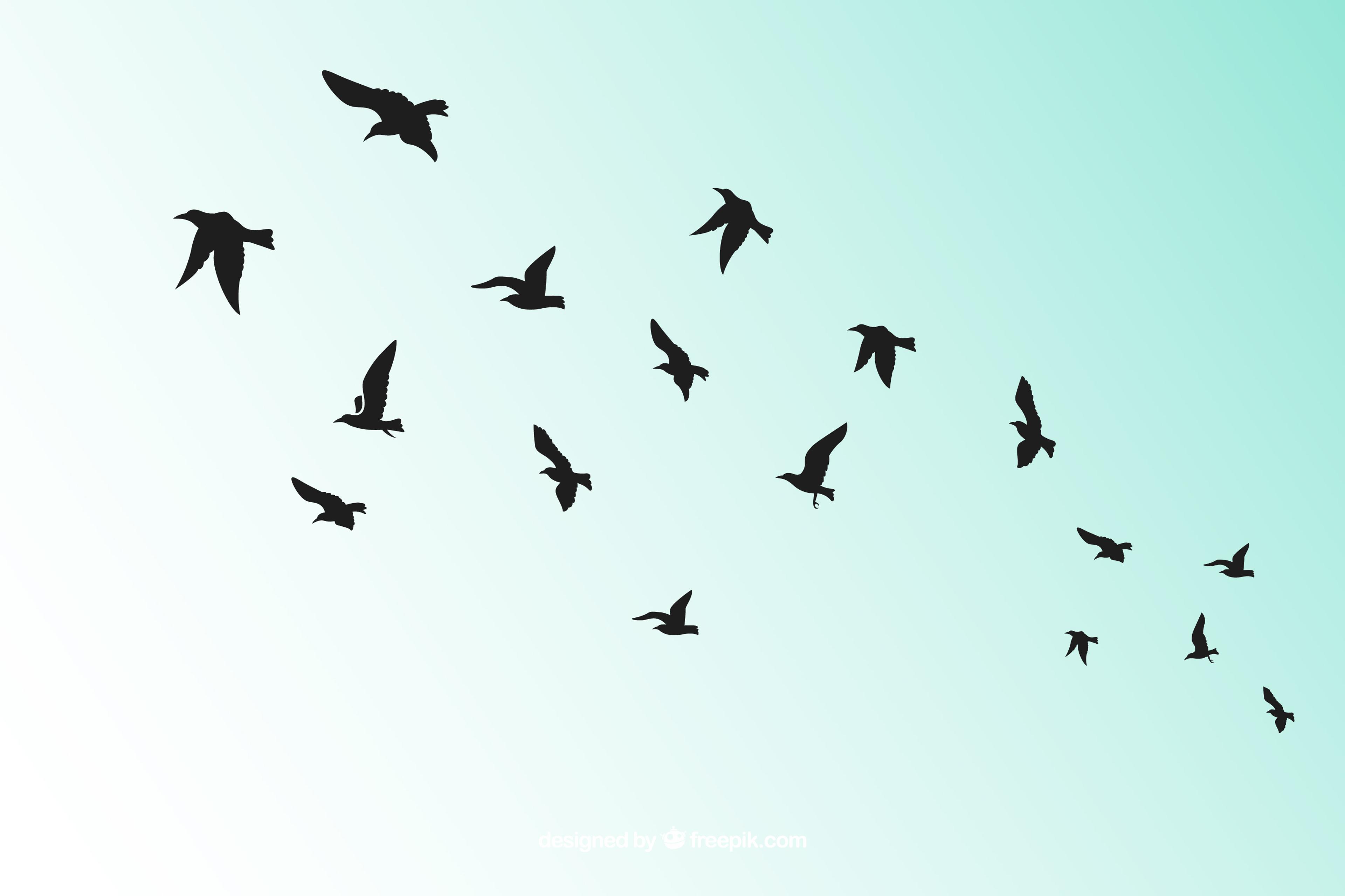 Shop cover image