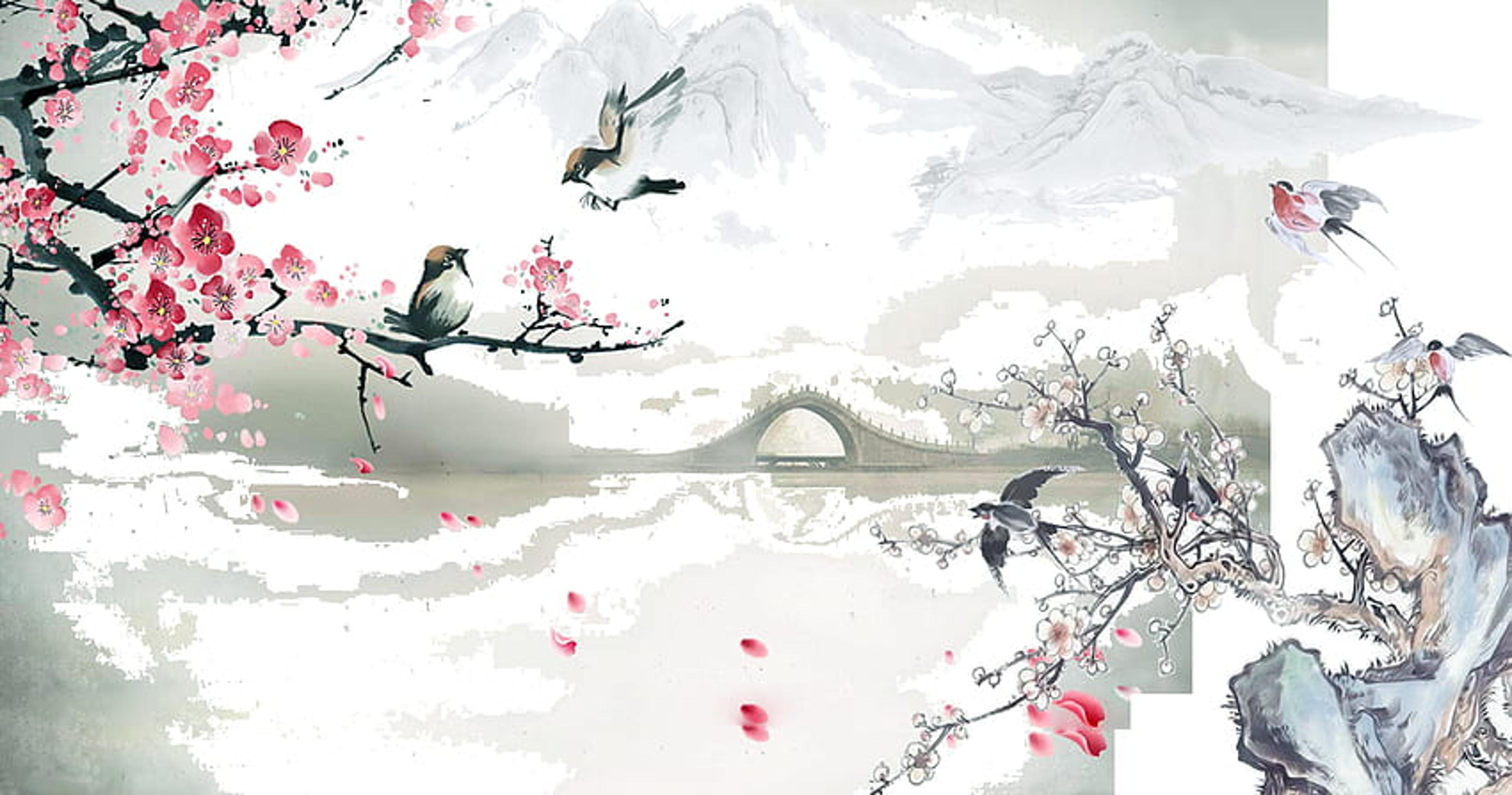 Shop cover image