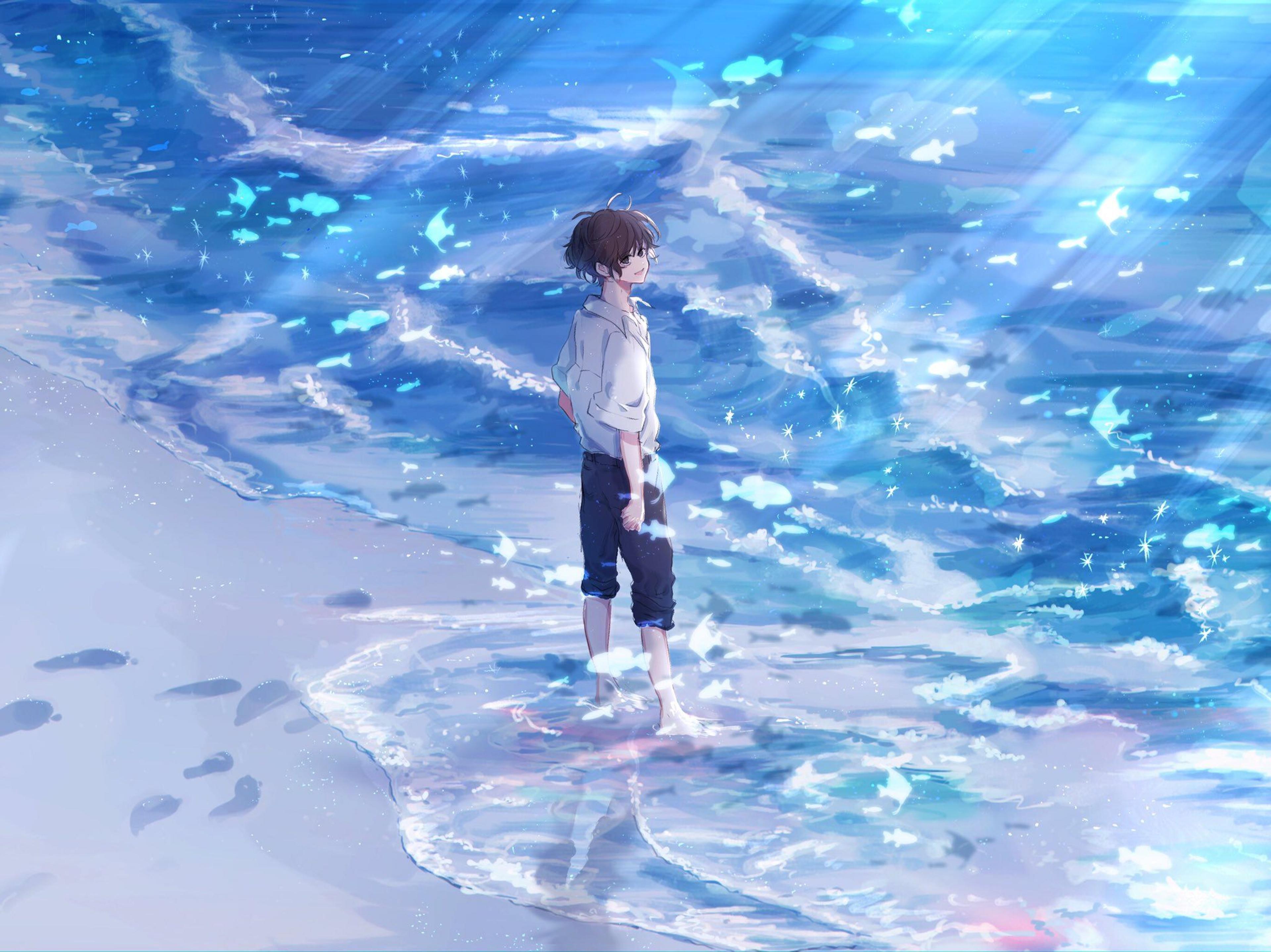Shop cover image