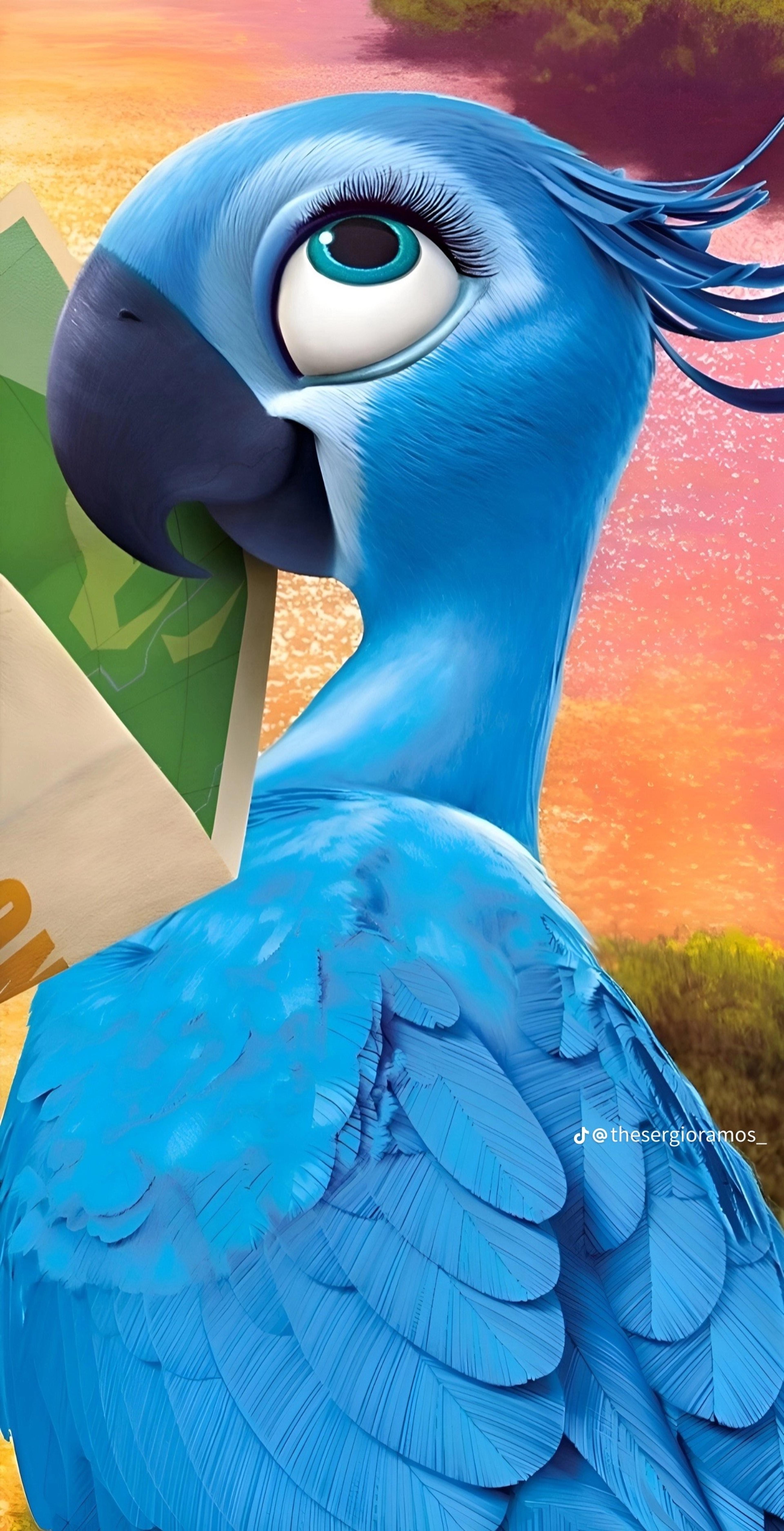 Shop cover image
