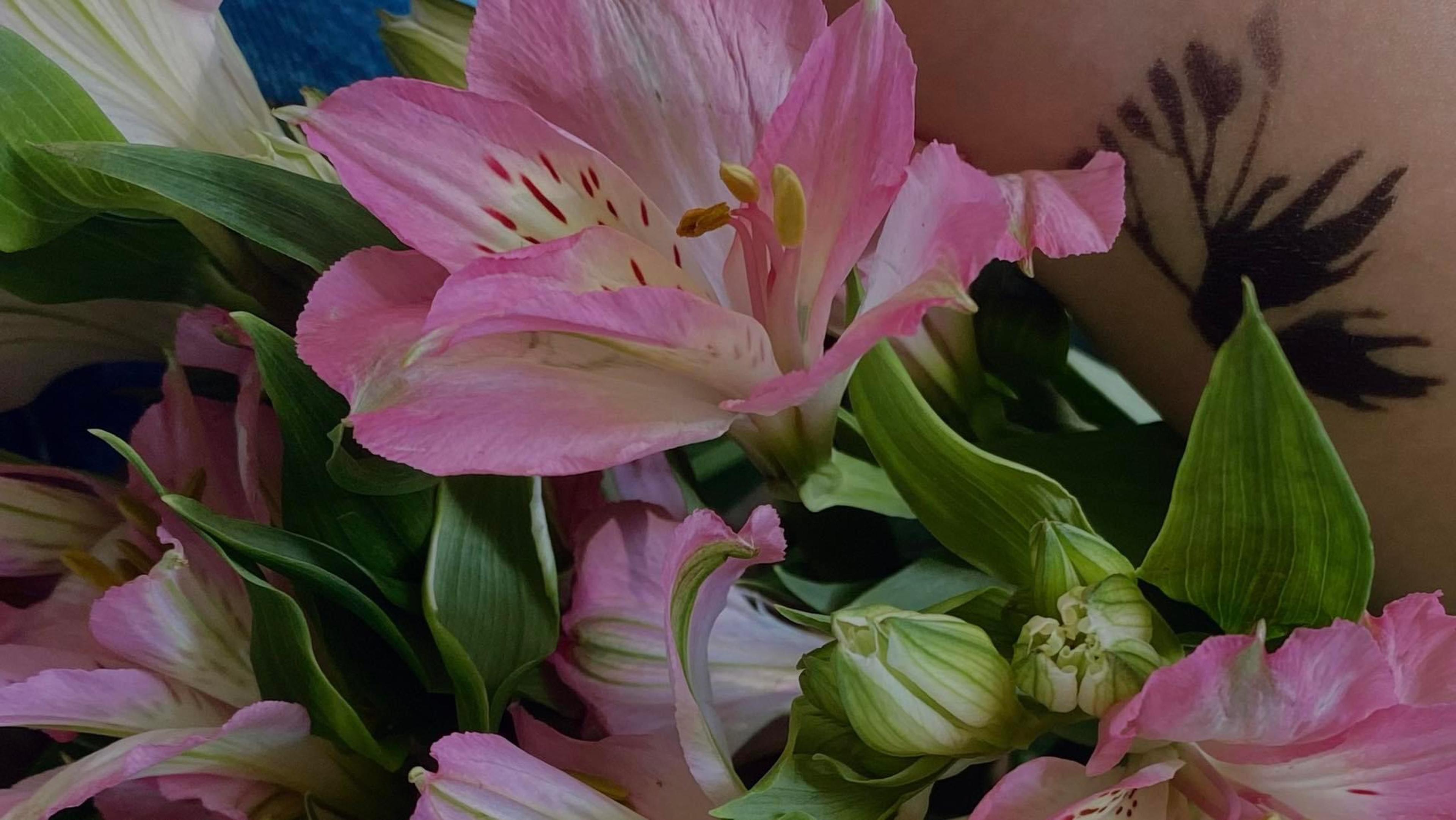 Shop cover image