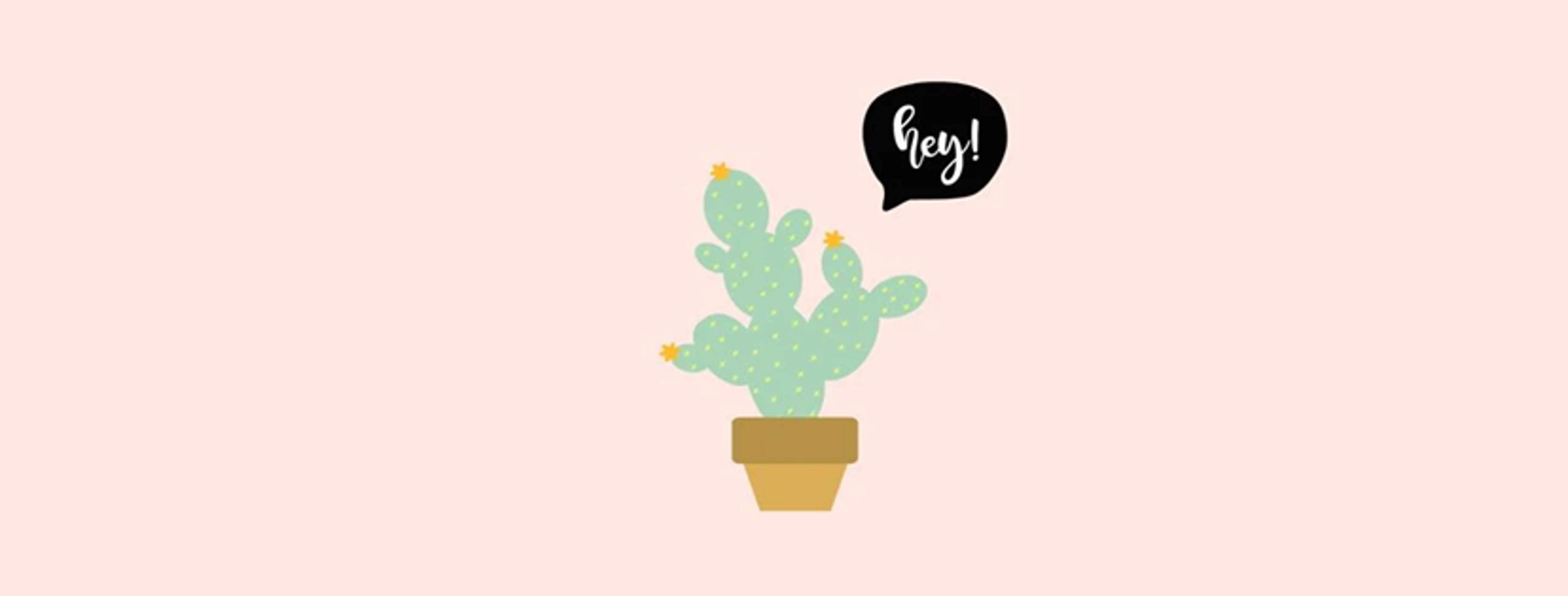 Shop cover image