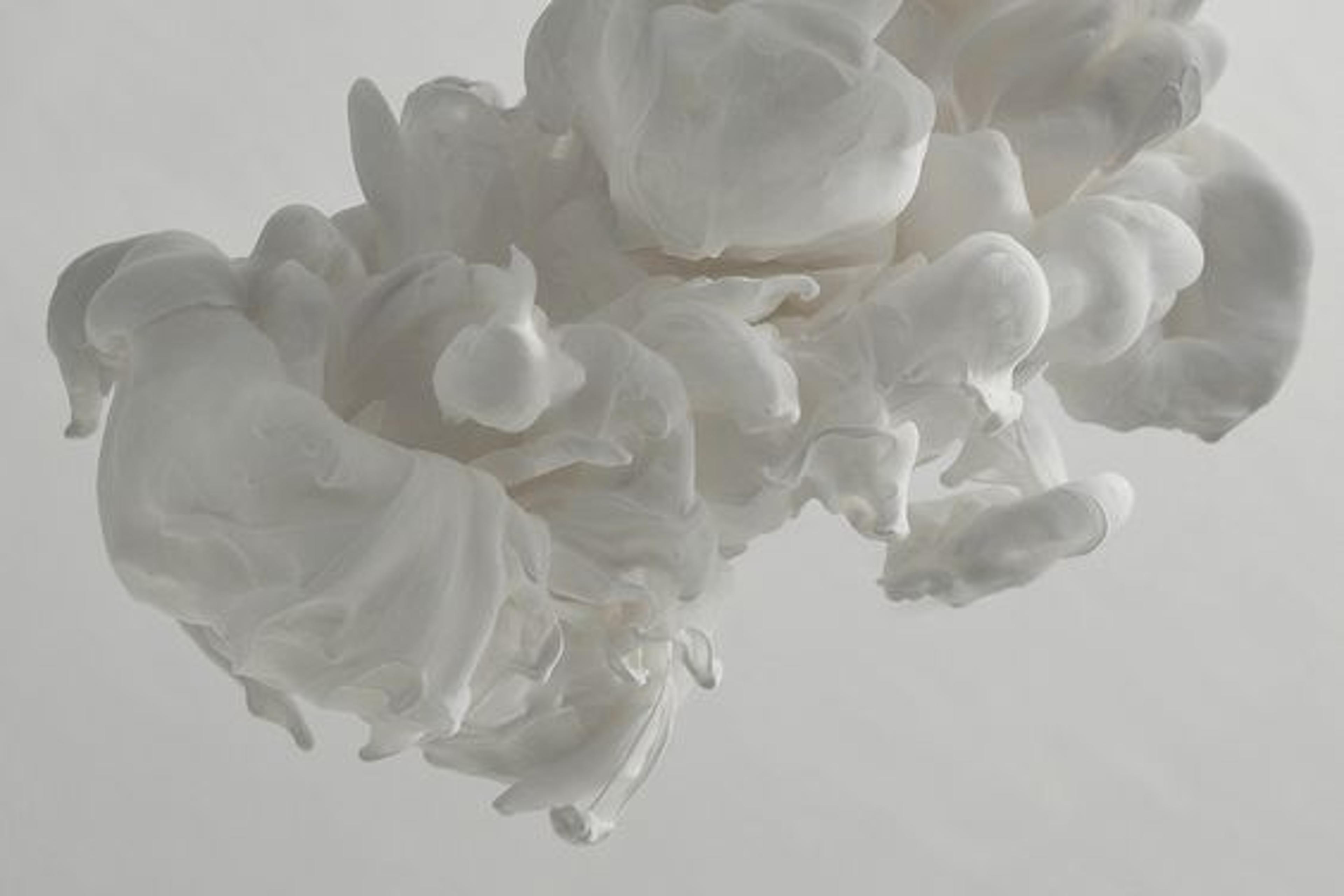 Shop cover image