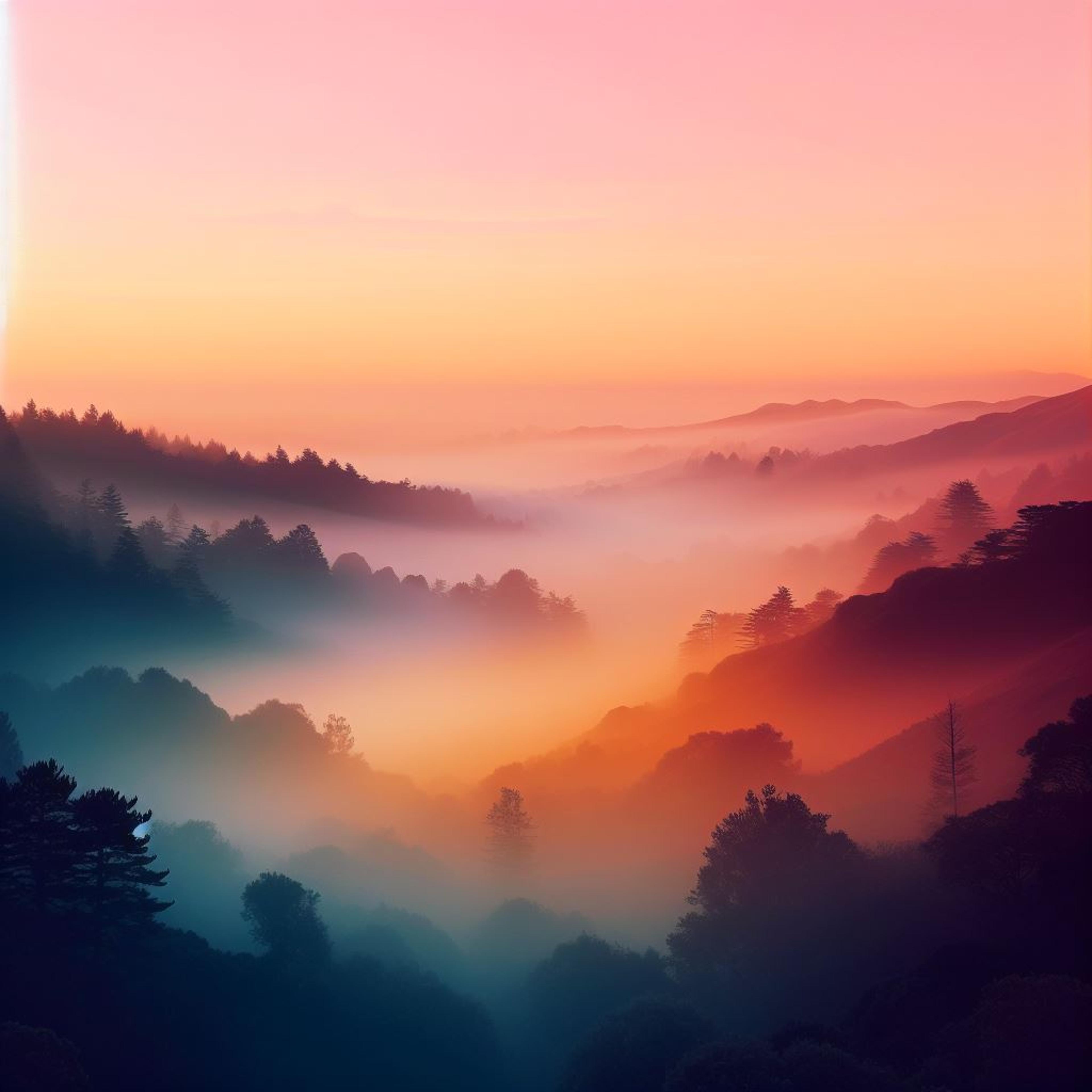 Shop cover image