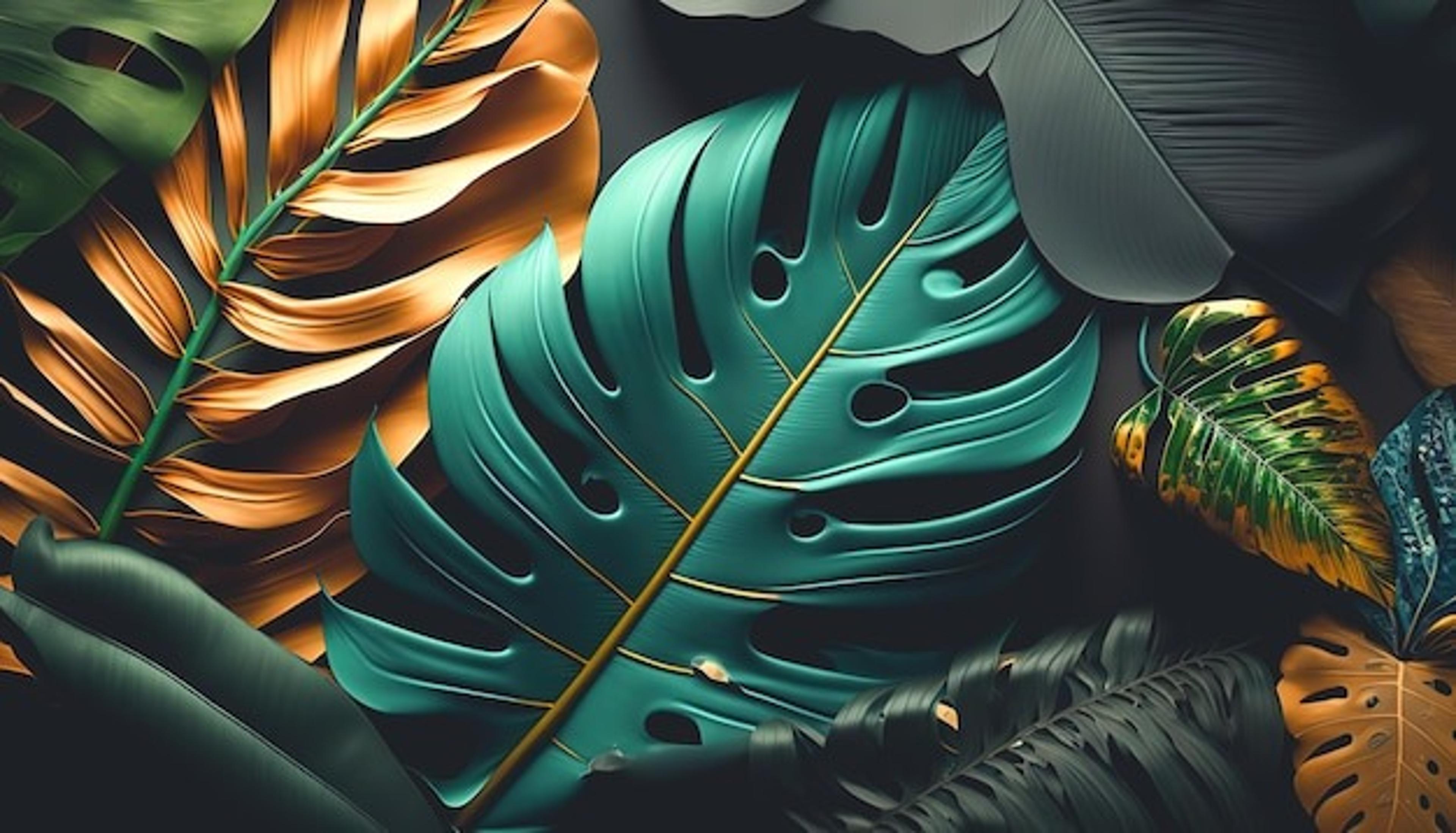 Shop cover image
