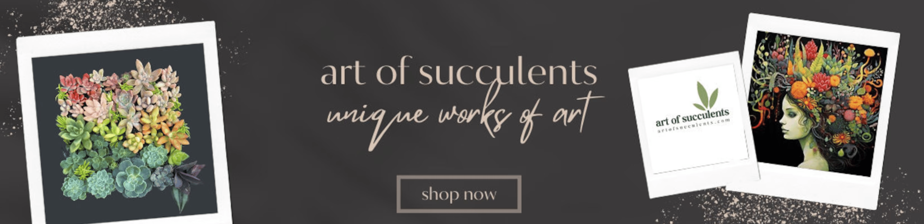 Shop cover image