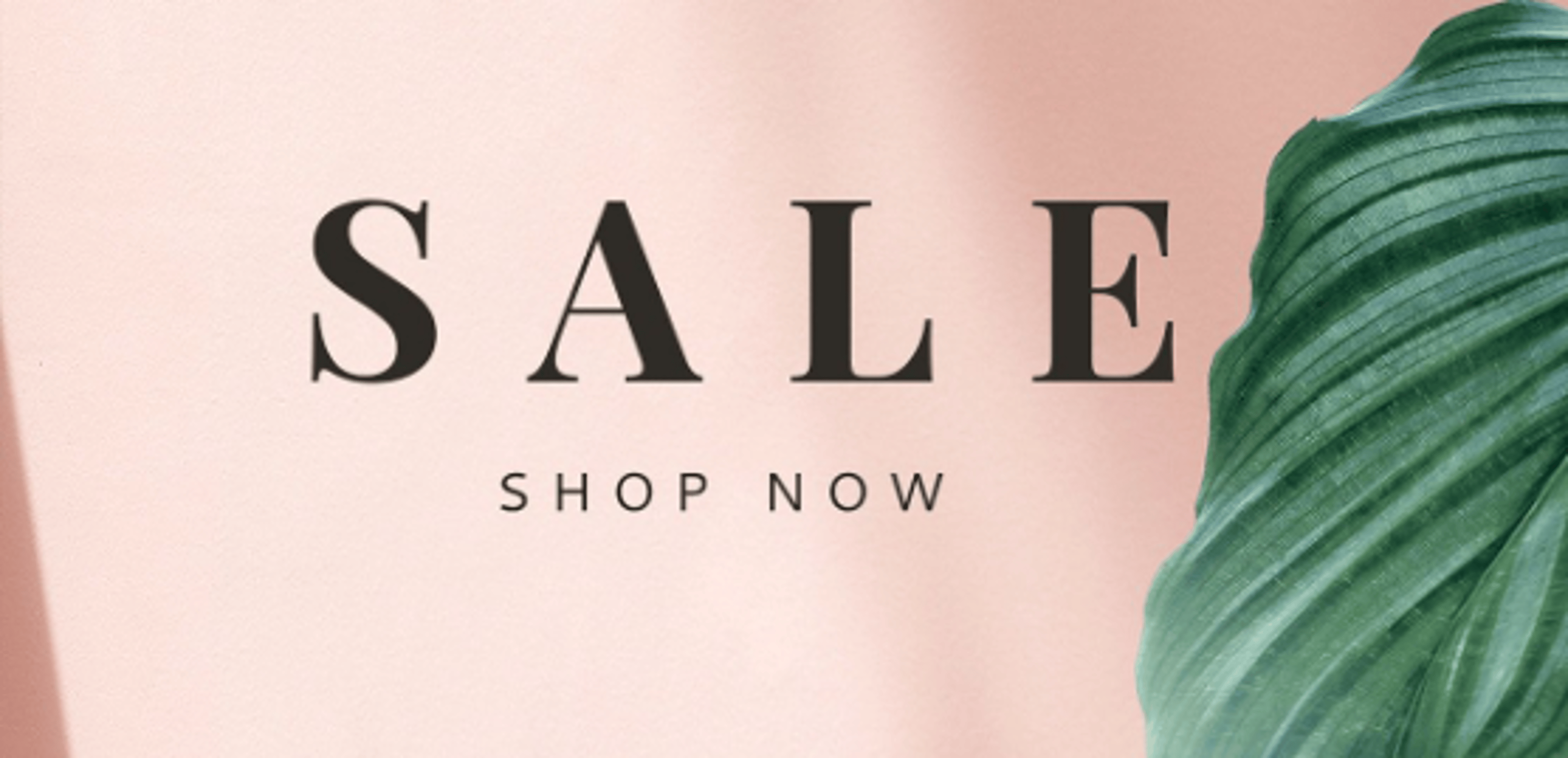 Shop cover image