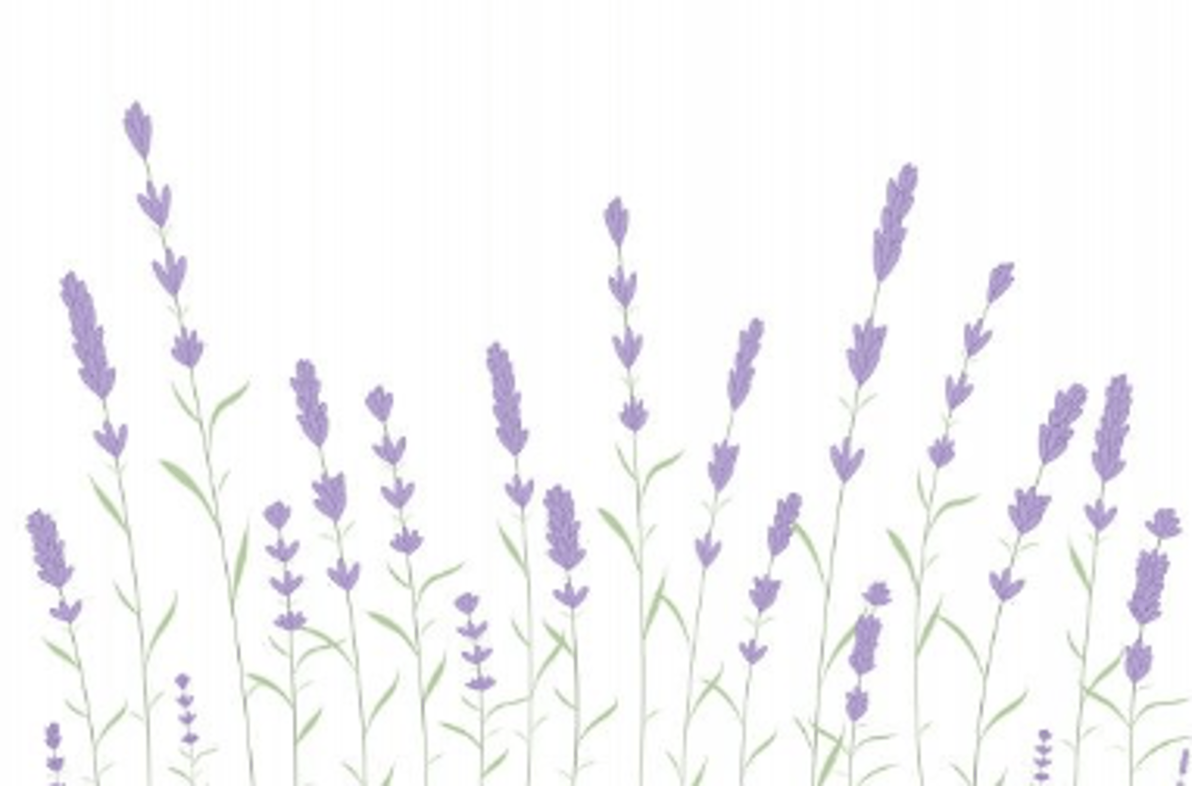 Shop cover image