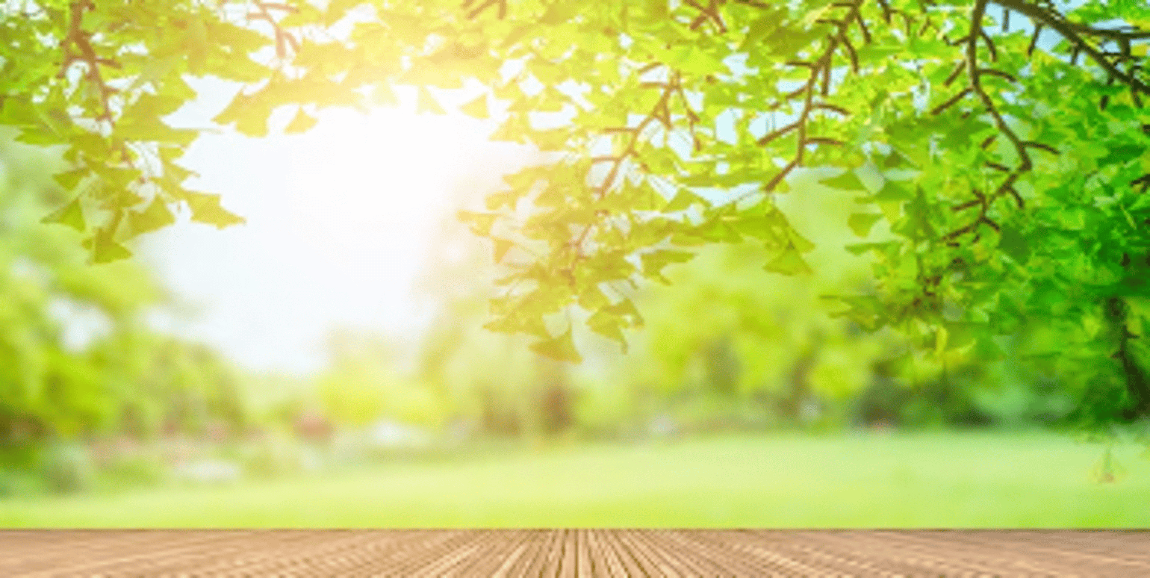 Shop cover image