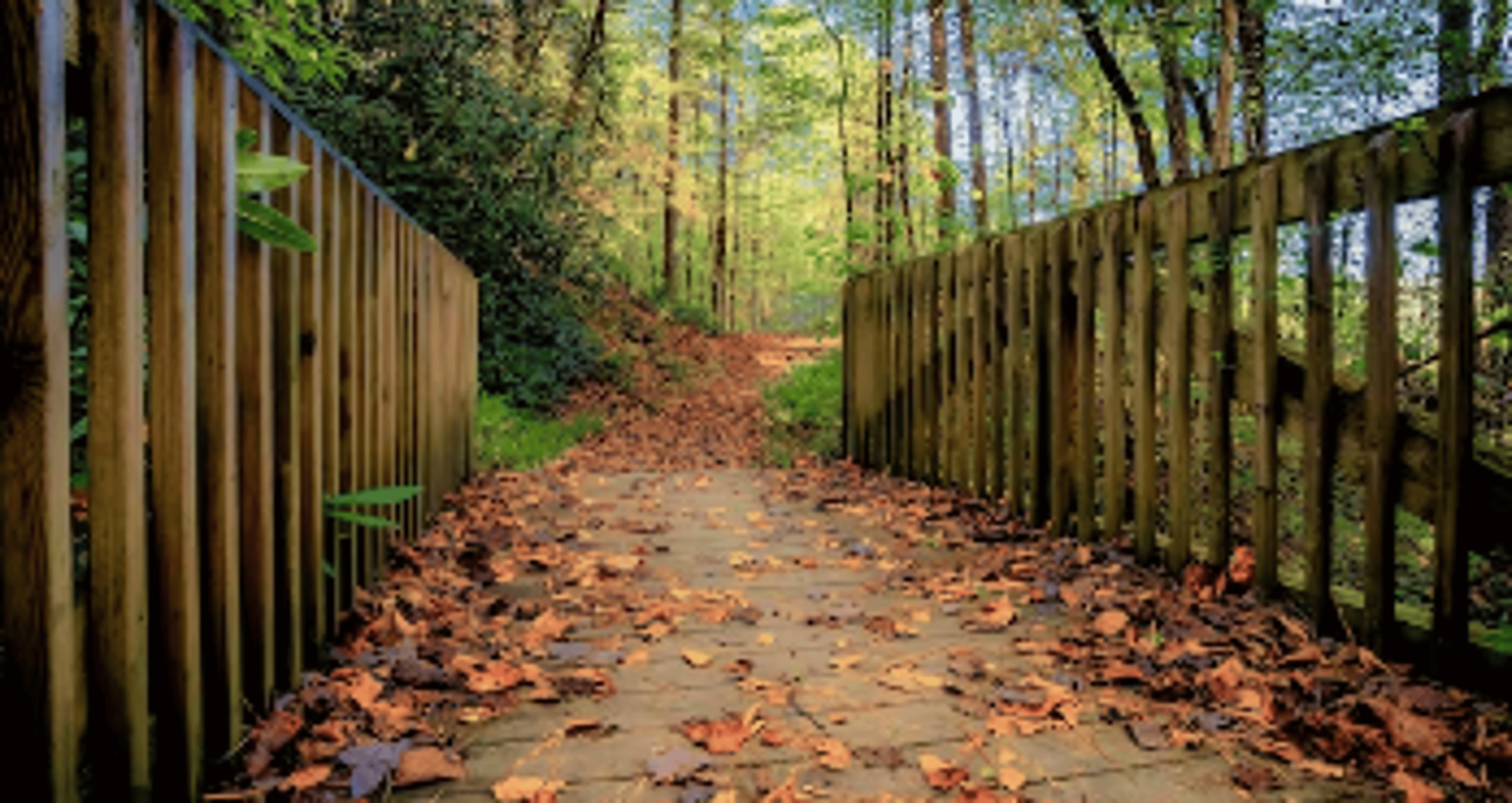 Shop cover image