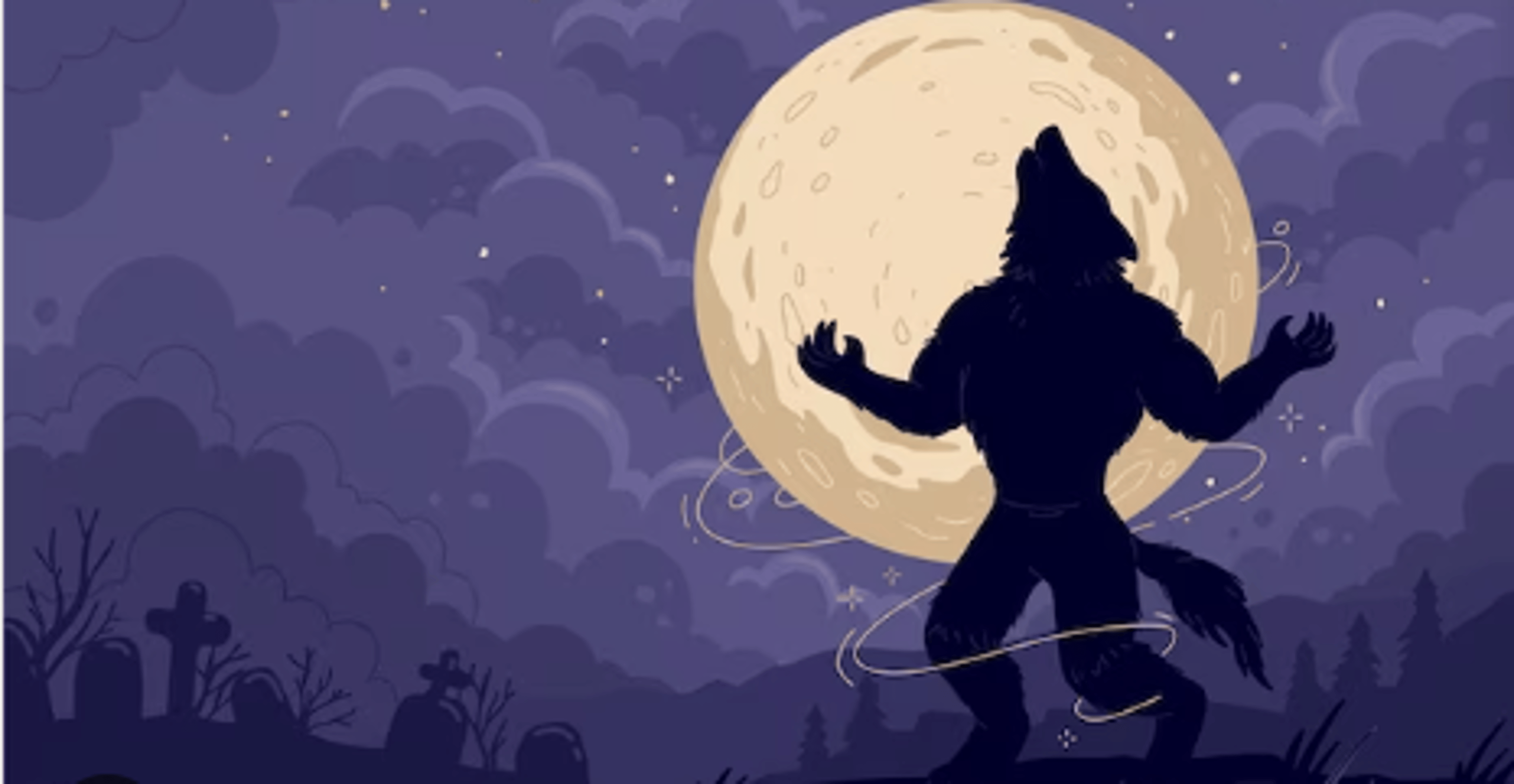 Shop cover image