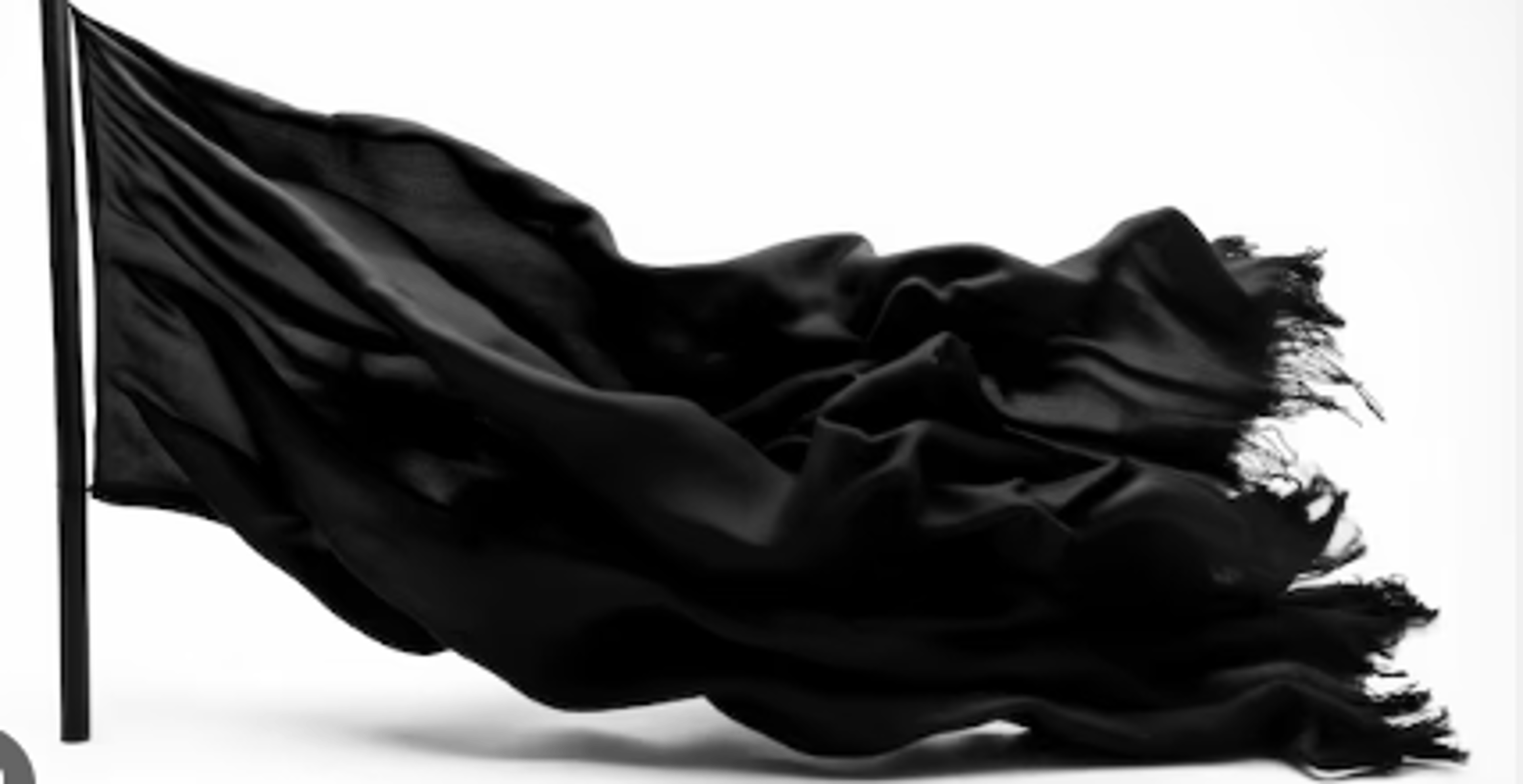 Shop cover image