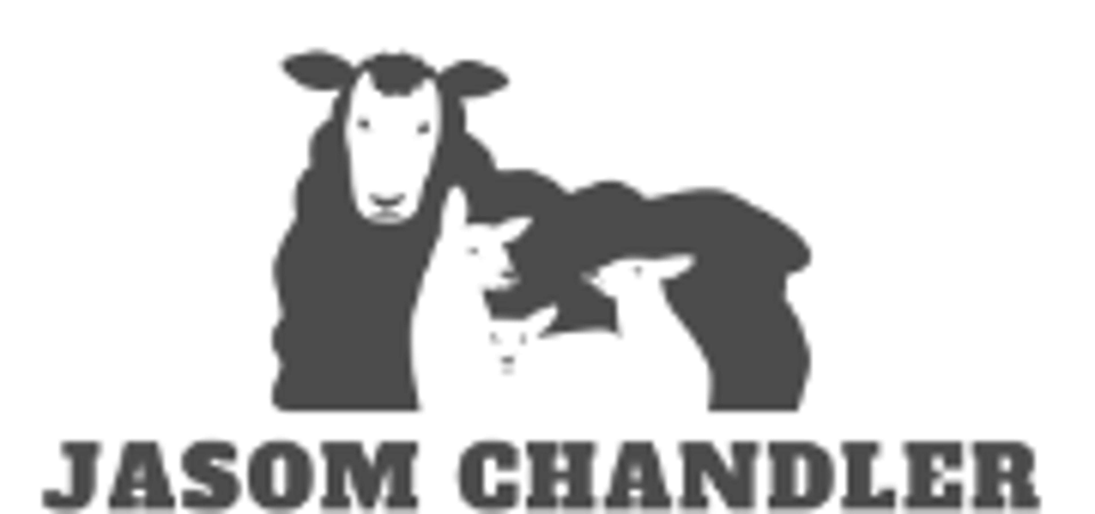 Shop cover image