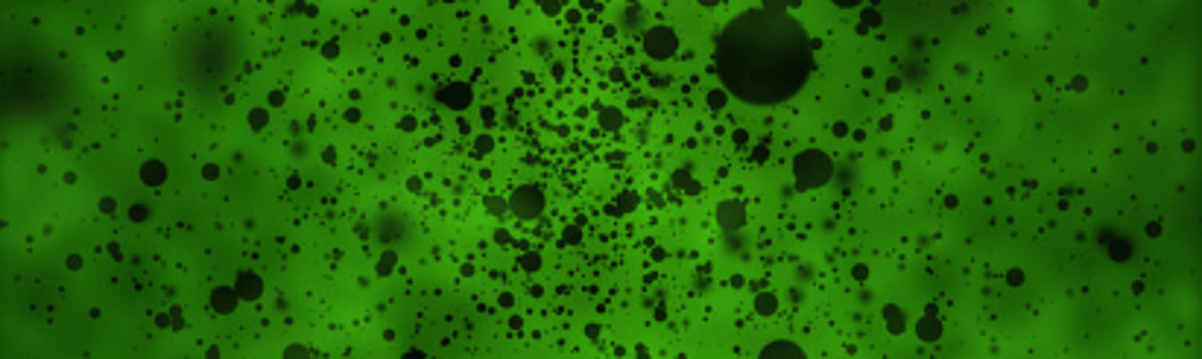Shop cover image