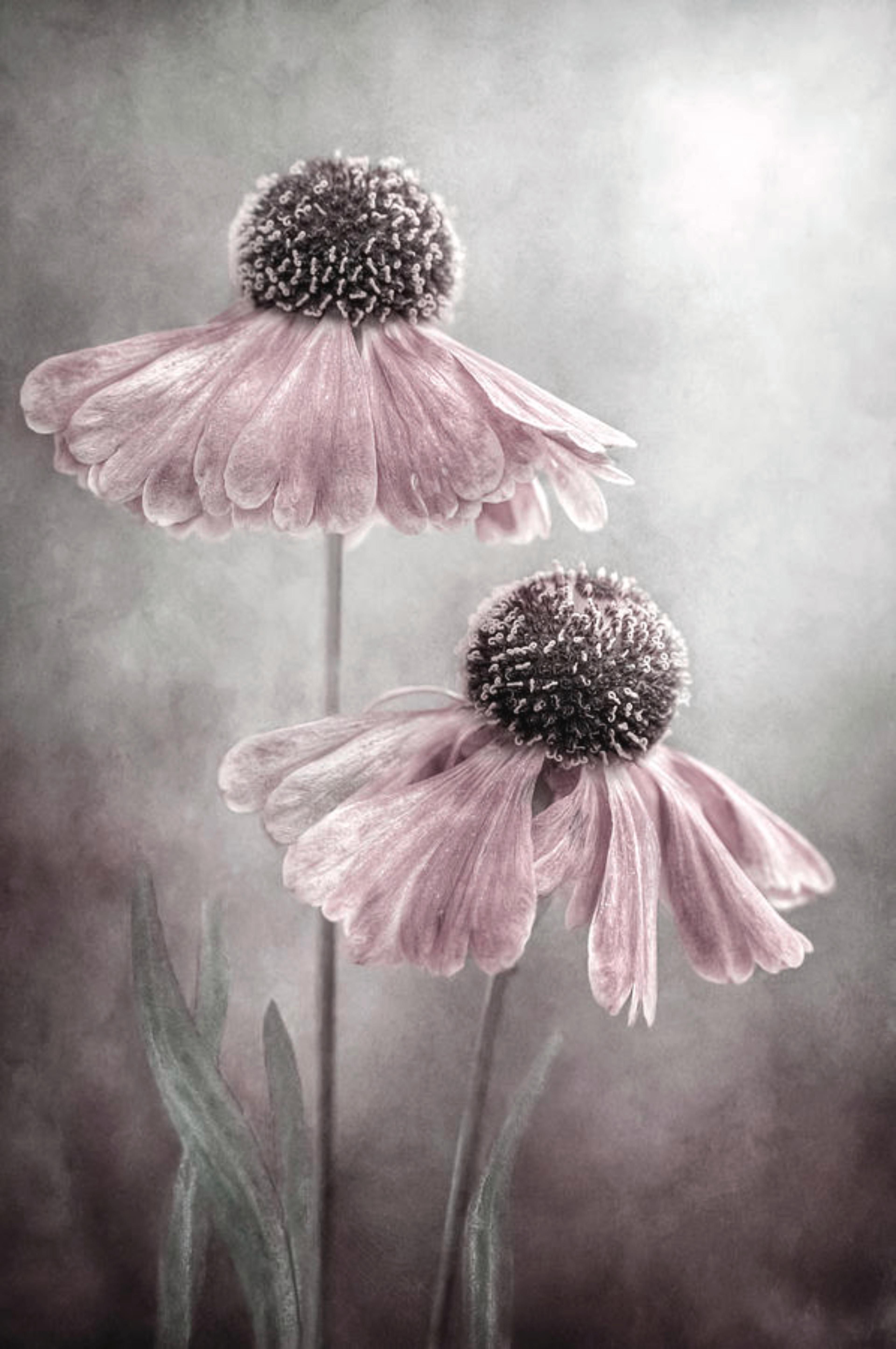 Shop cover image