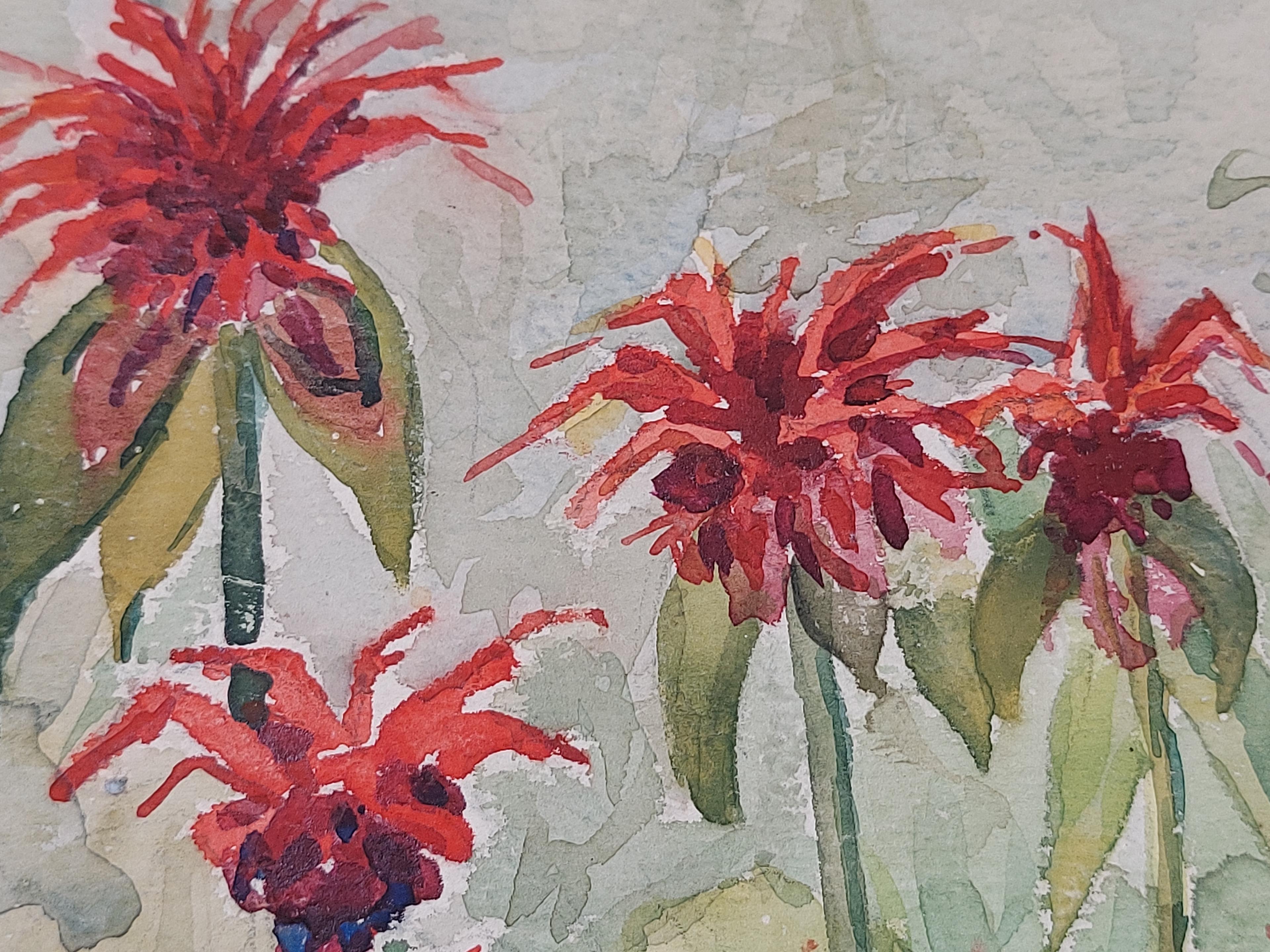 Shop cover image