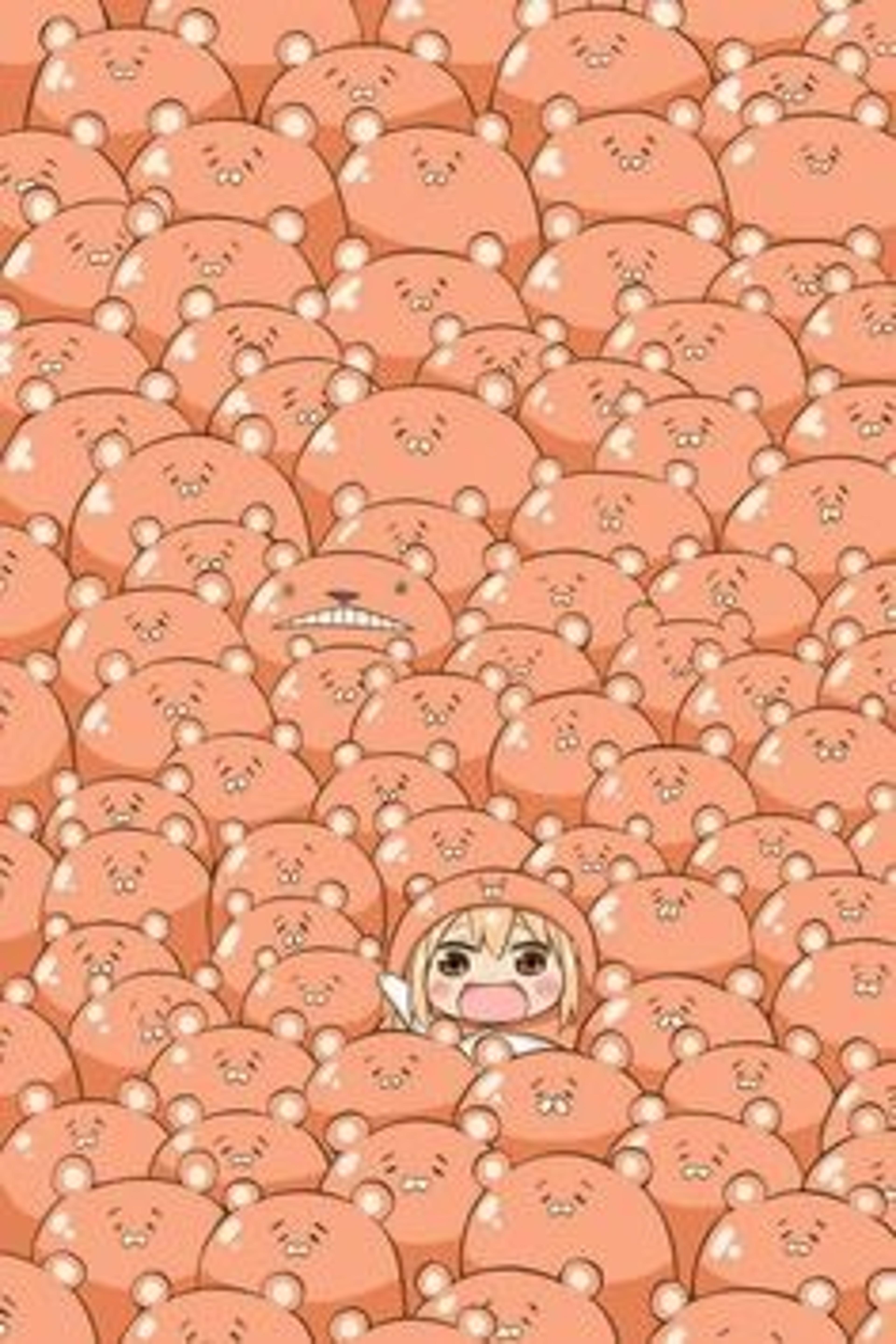 Shop cover image