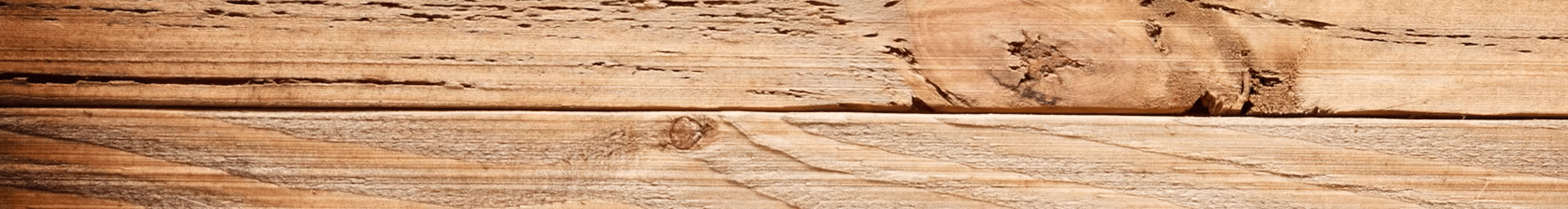 Shop cover image