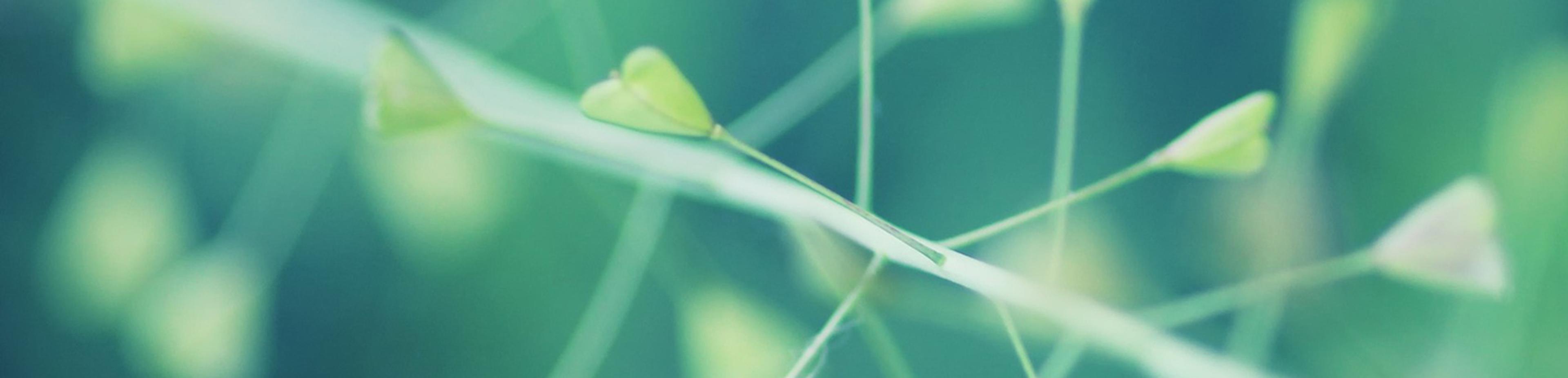 Shop cover image