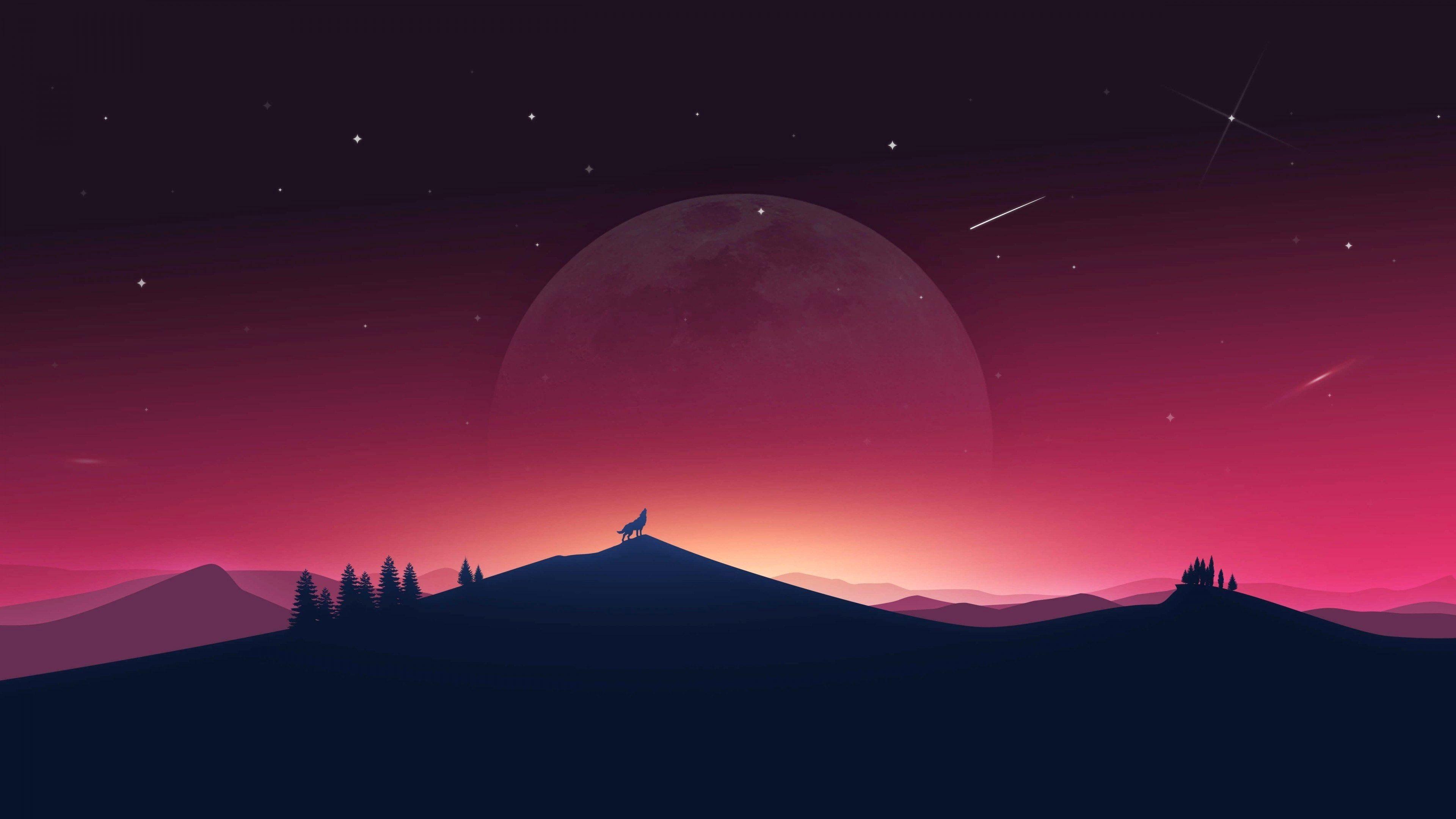 Shop cover image