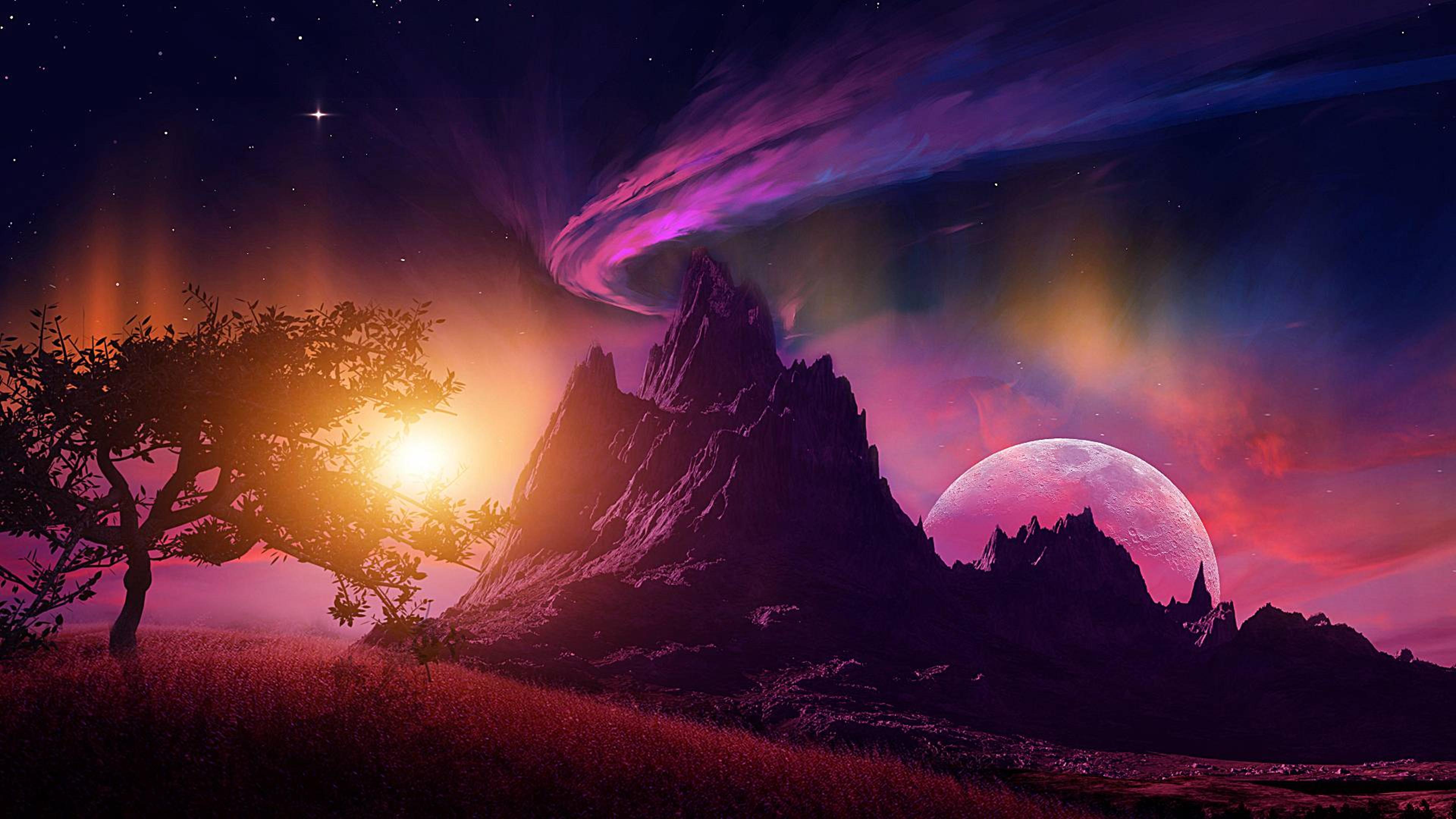 Shop cover image