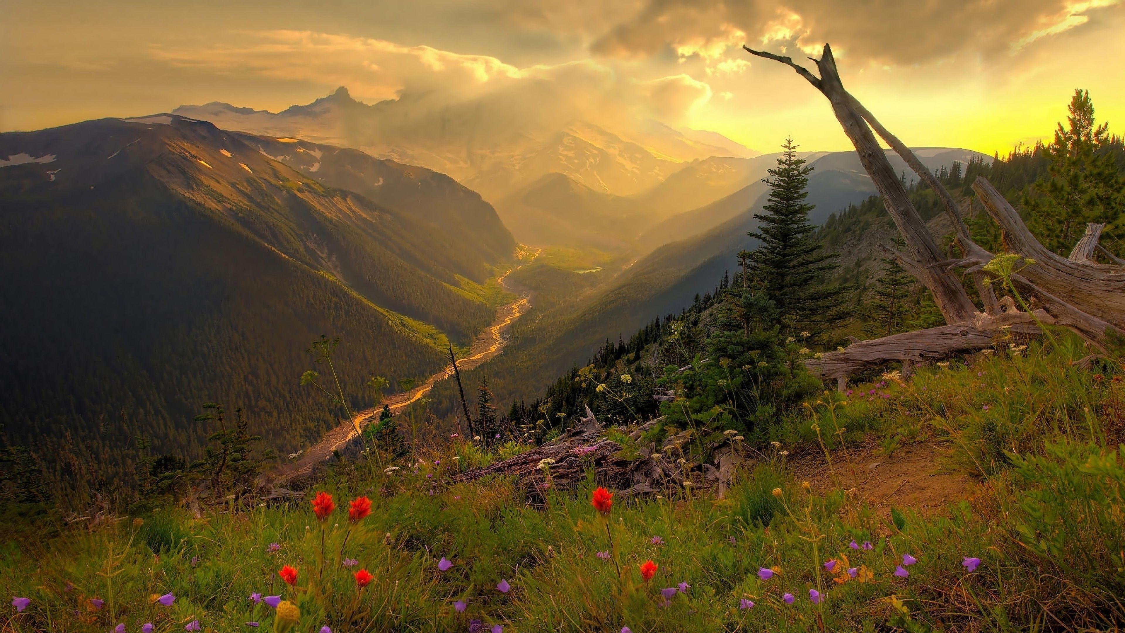 Shop cover image