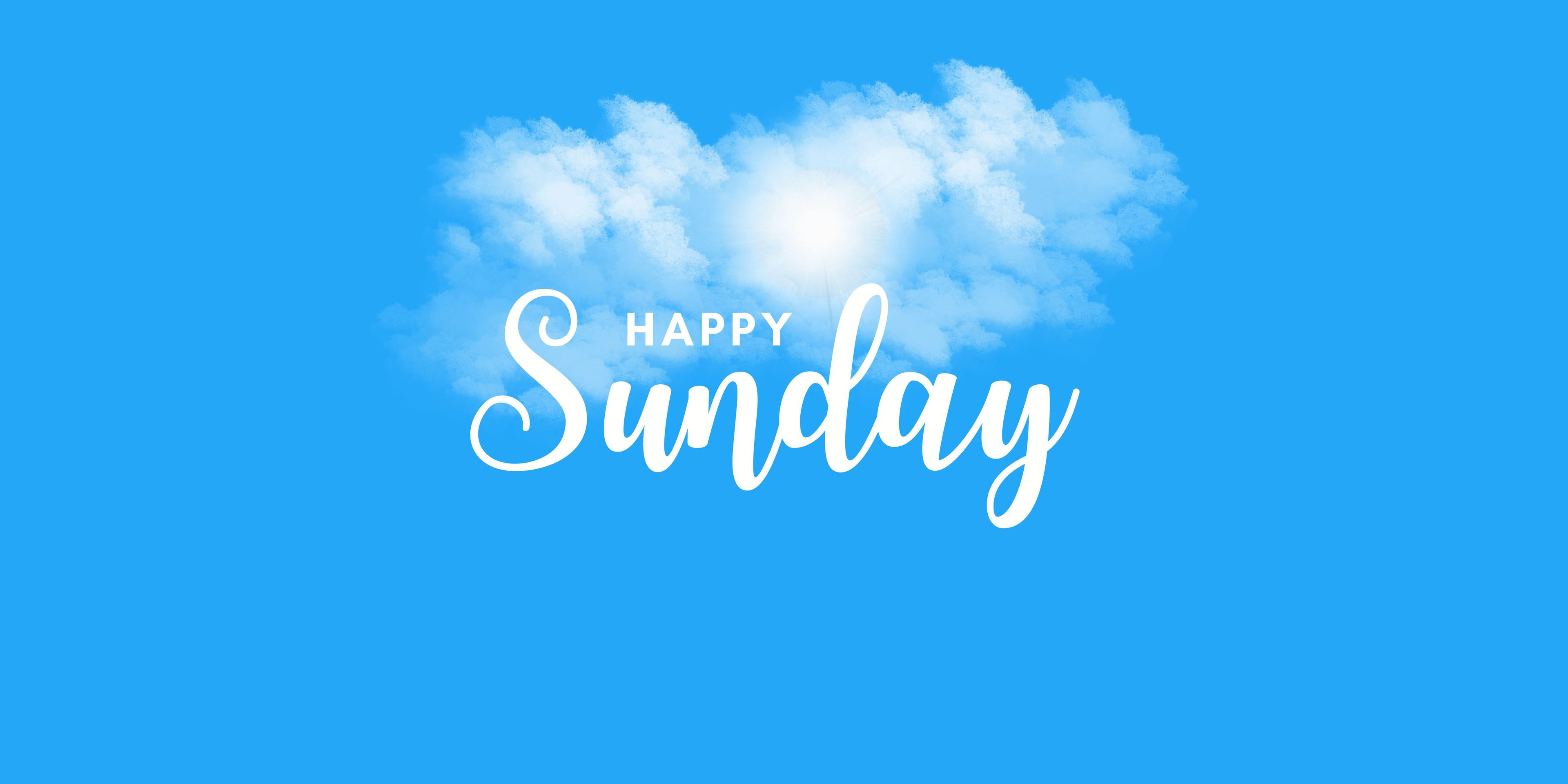 Shop cover image