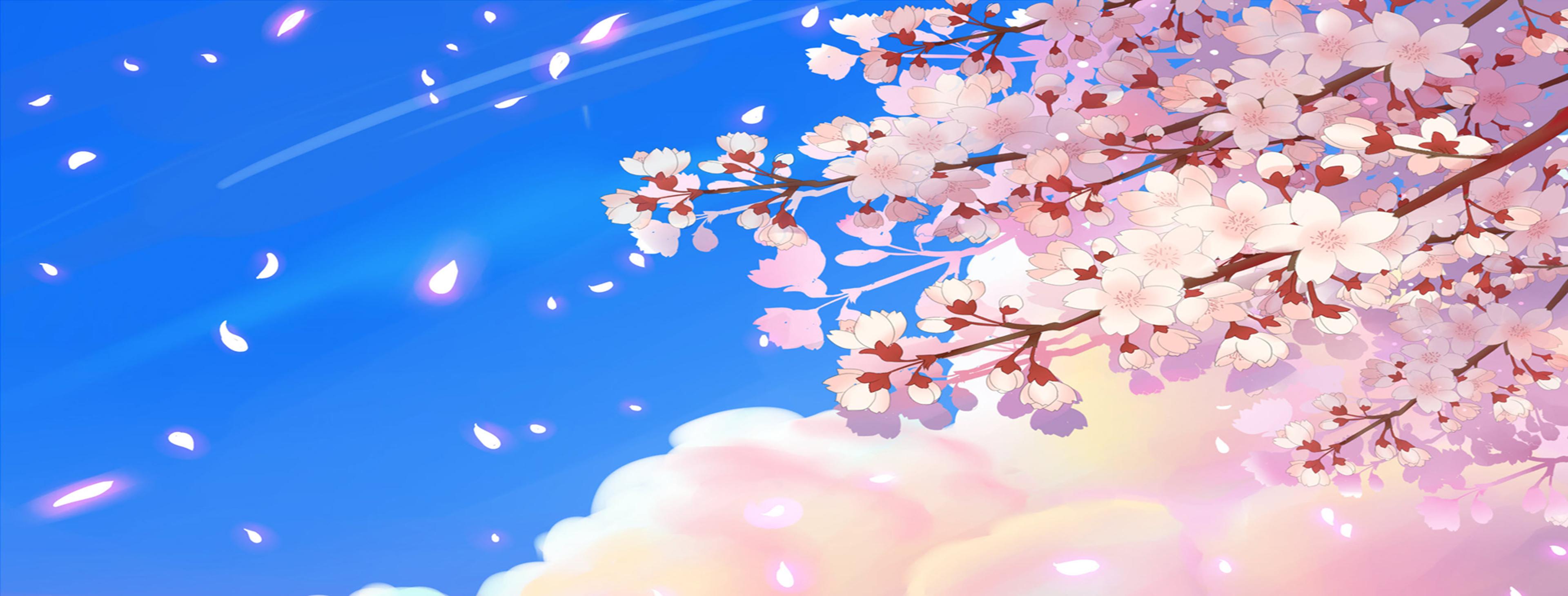 Shop cover image