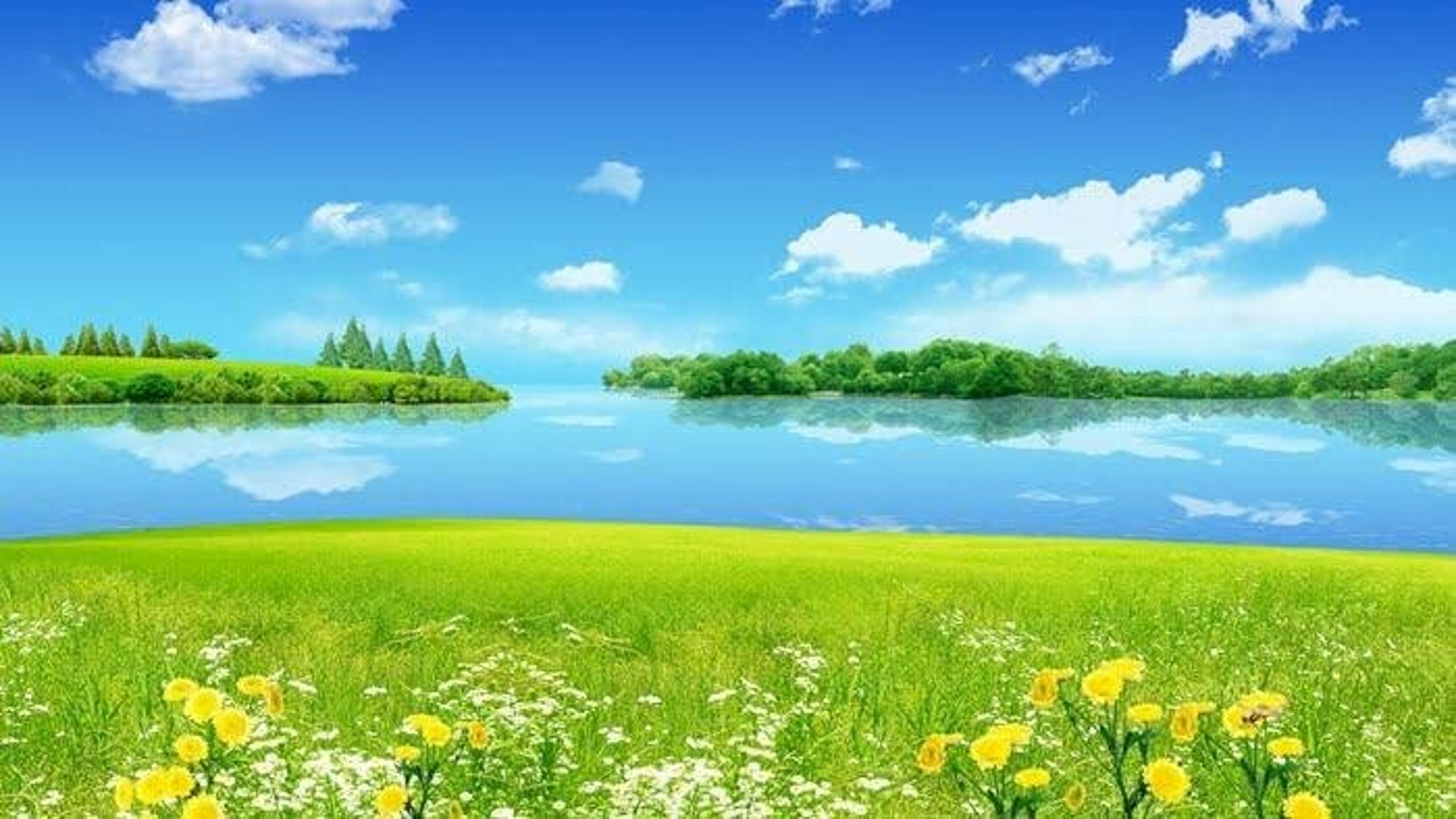 Shop cover image