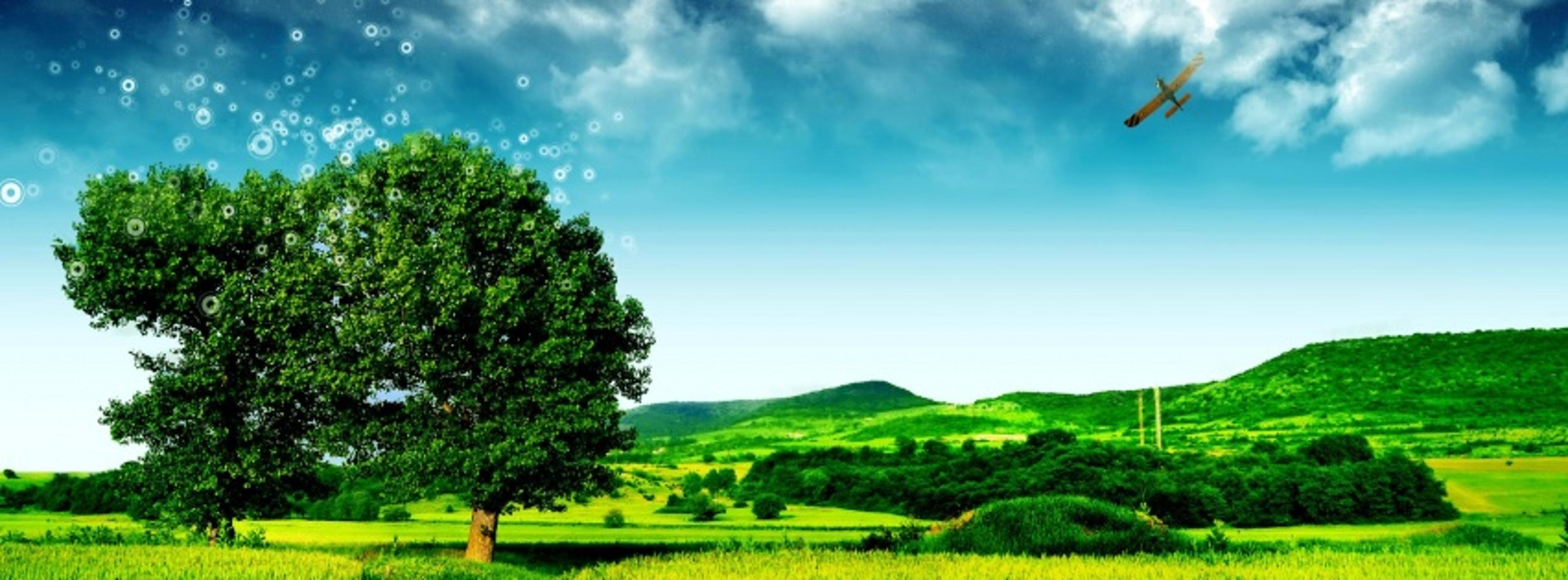 Shop cover image