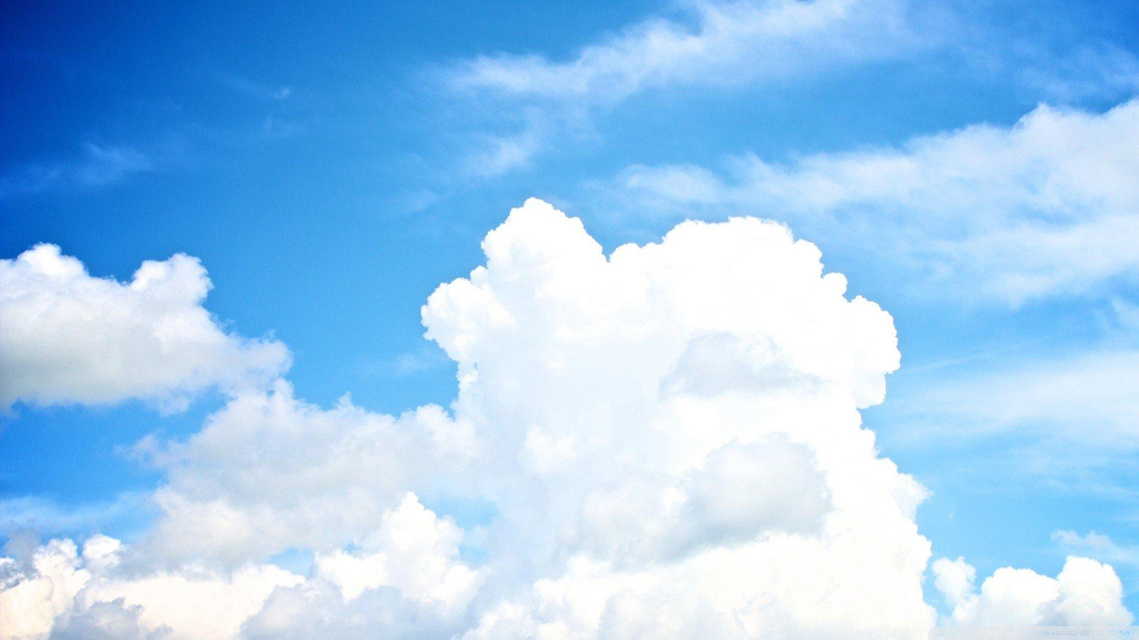 Shop cover image