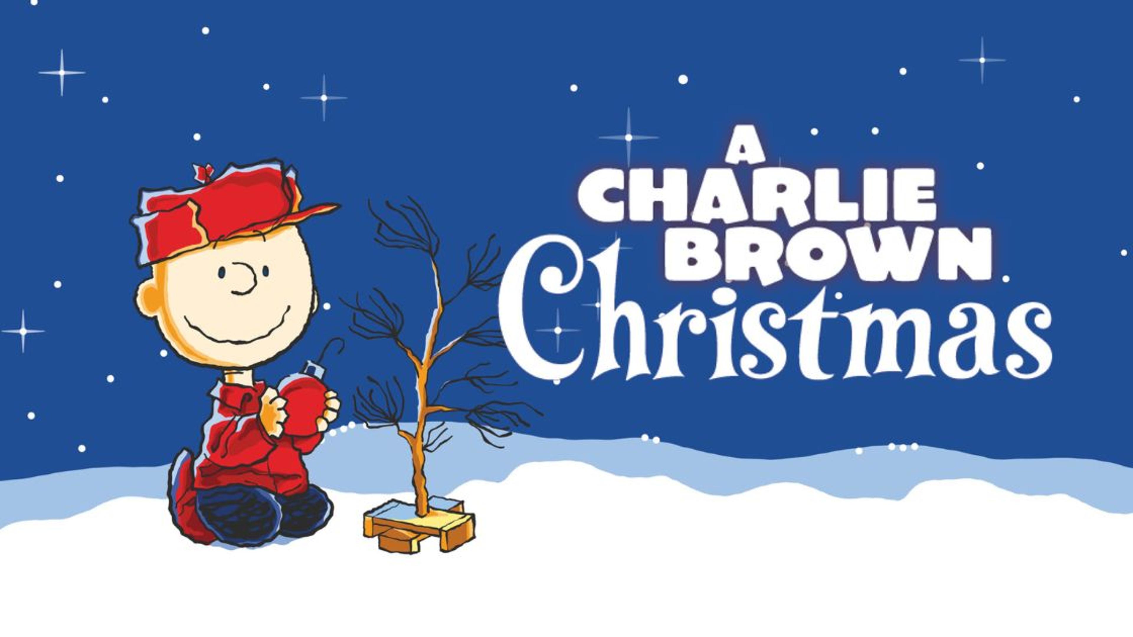 Shop cover image