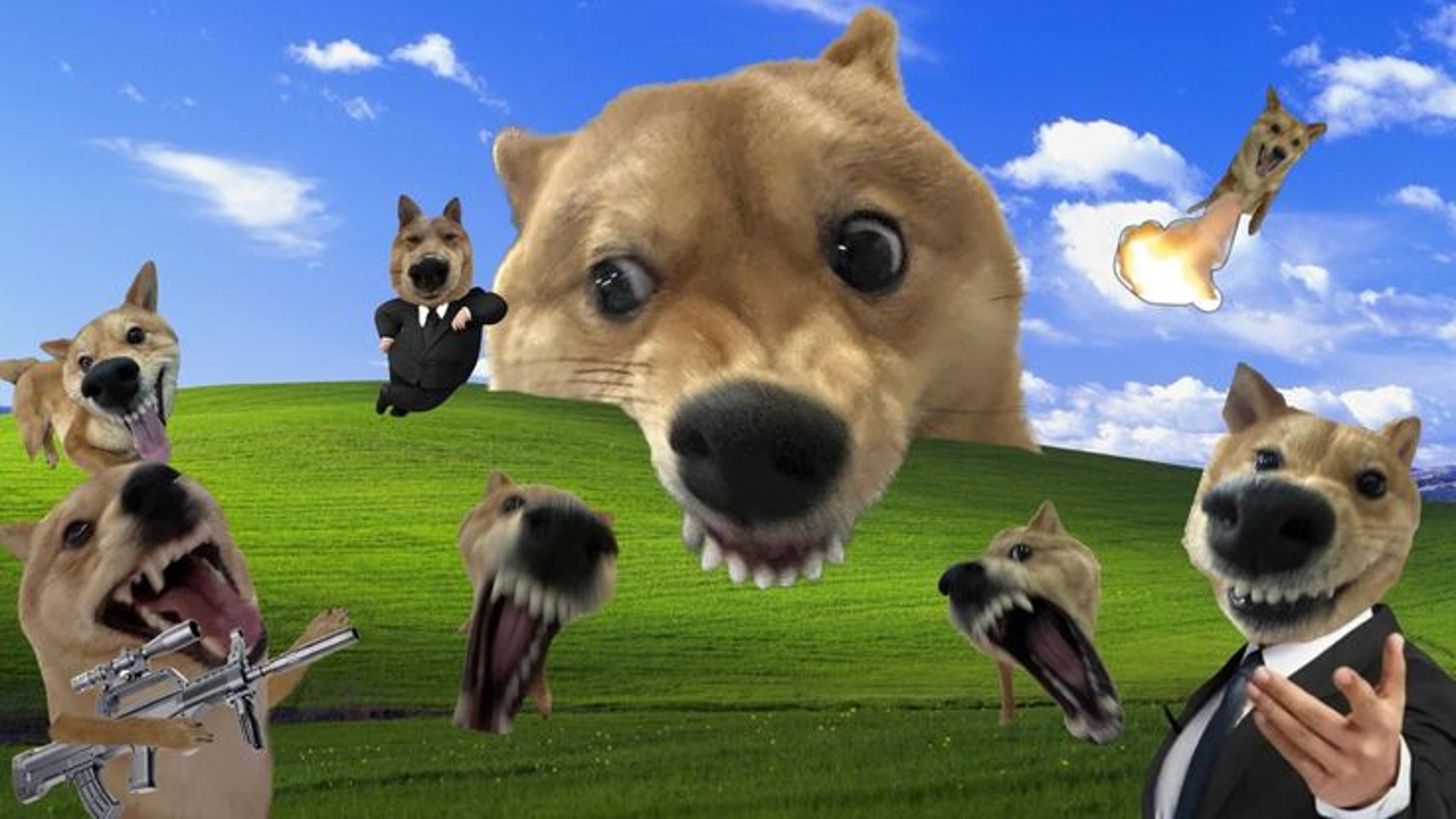 Shop cover image