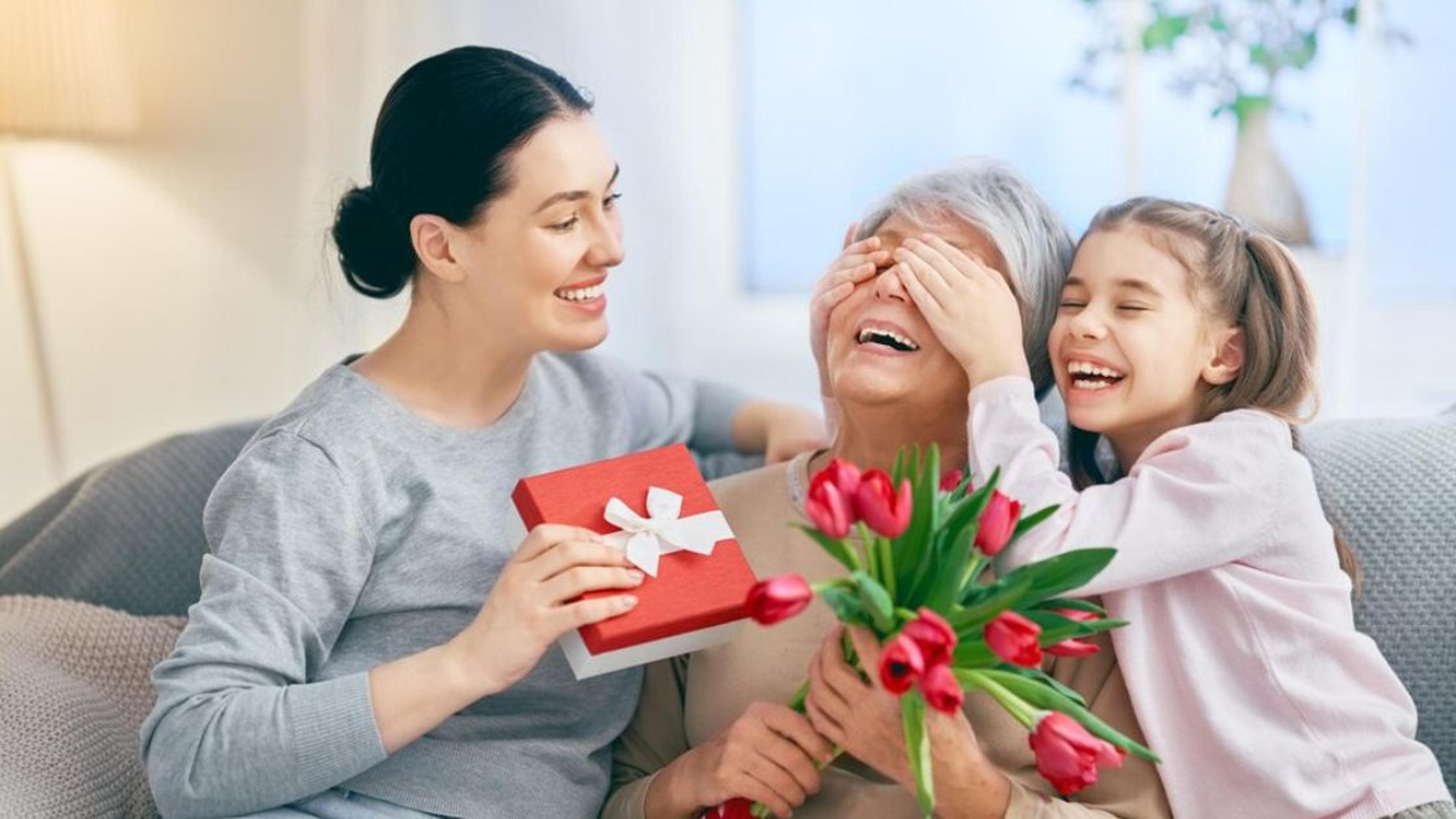Shop cover image