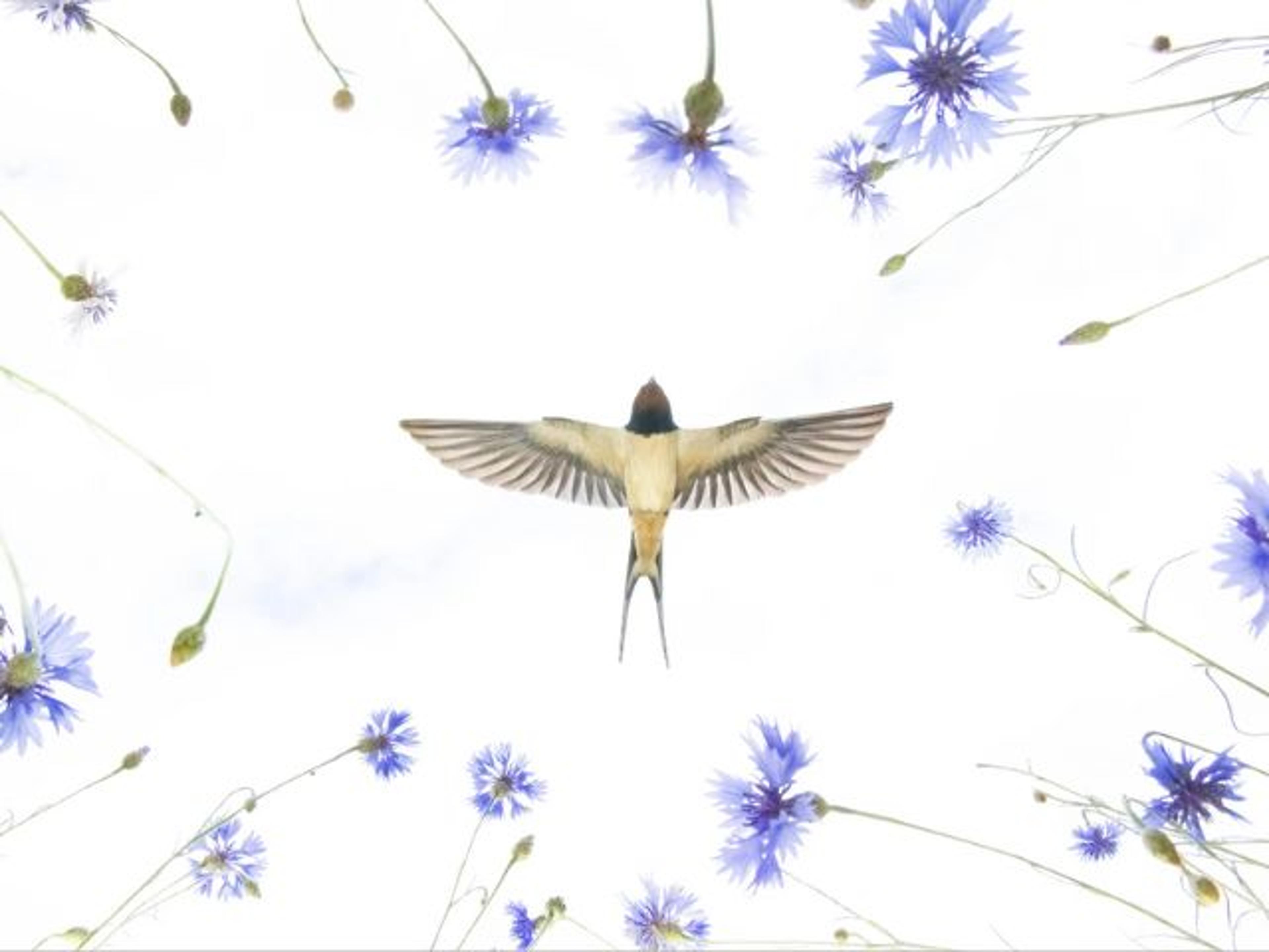 Shop cover image