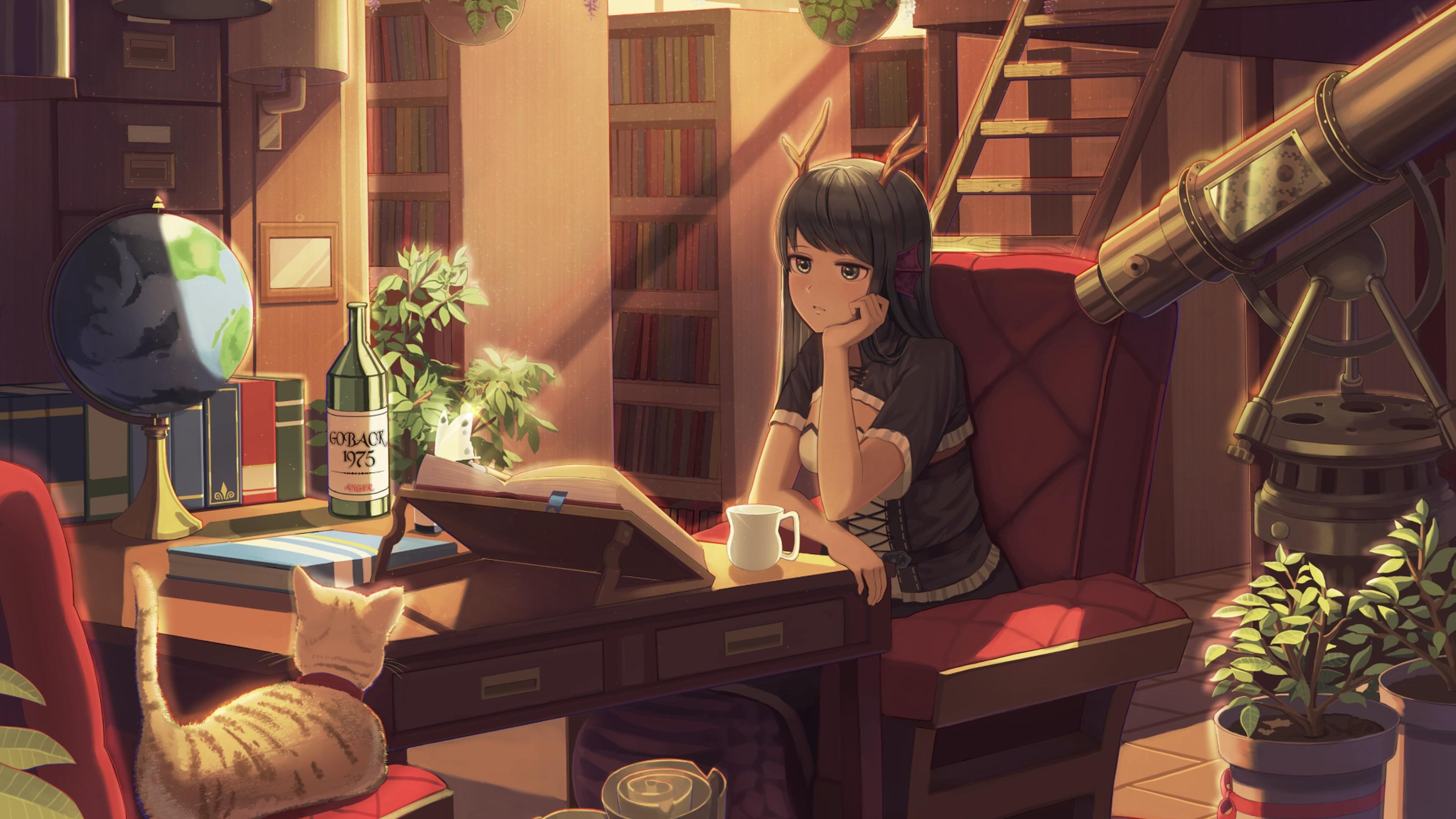 Shop cover image