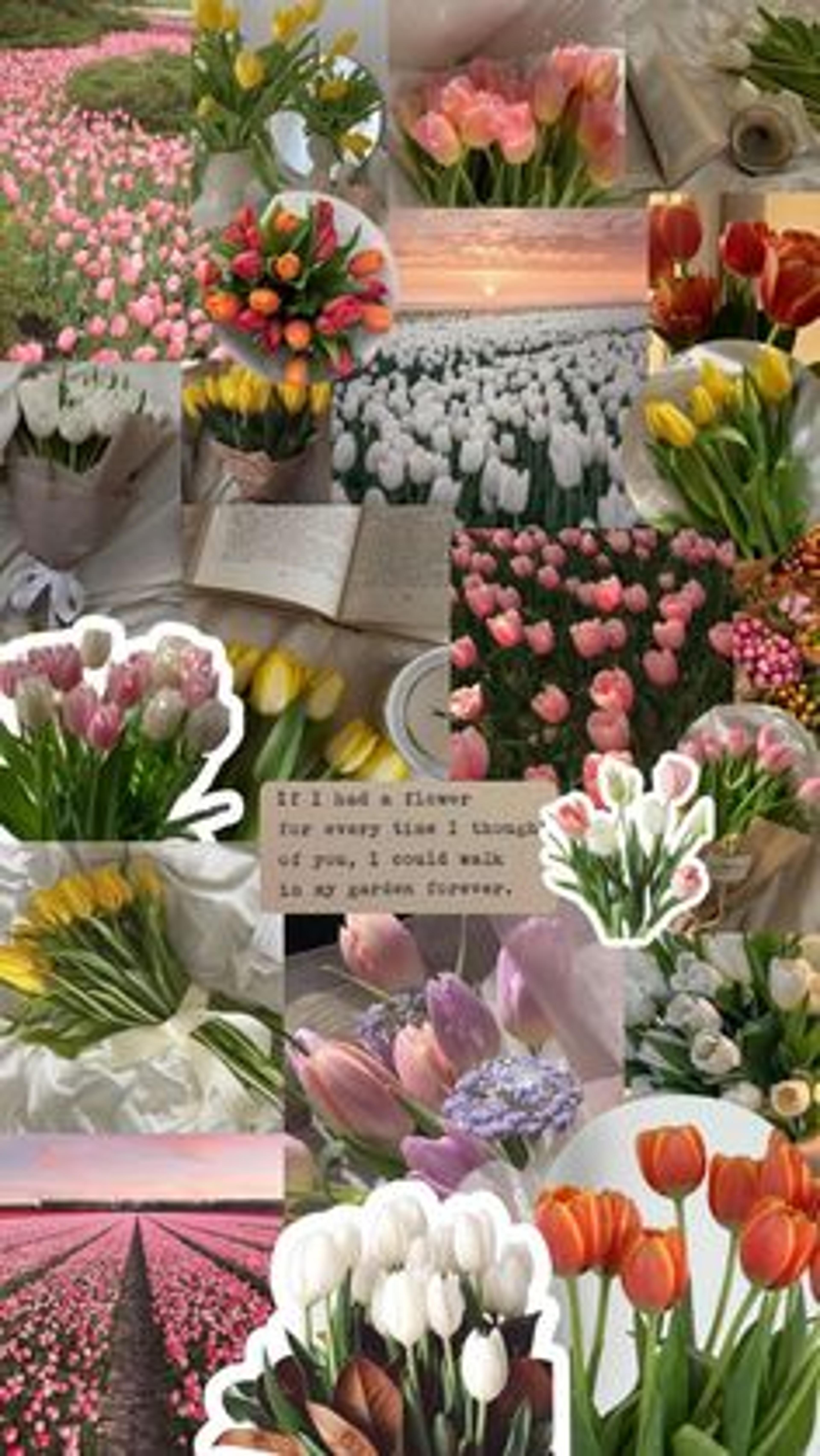Shop cover image