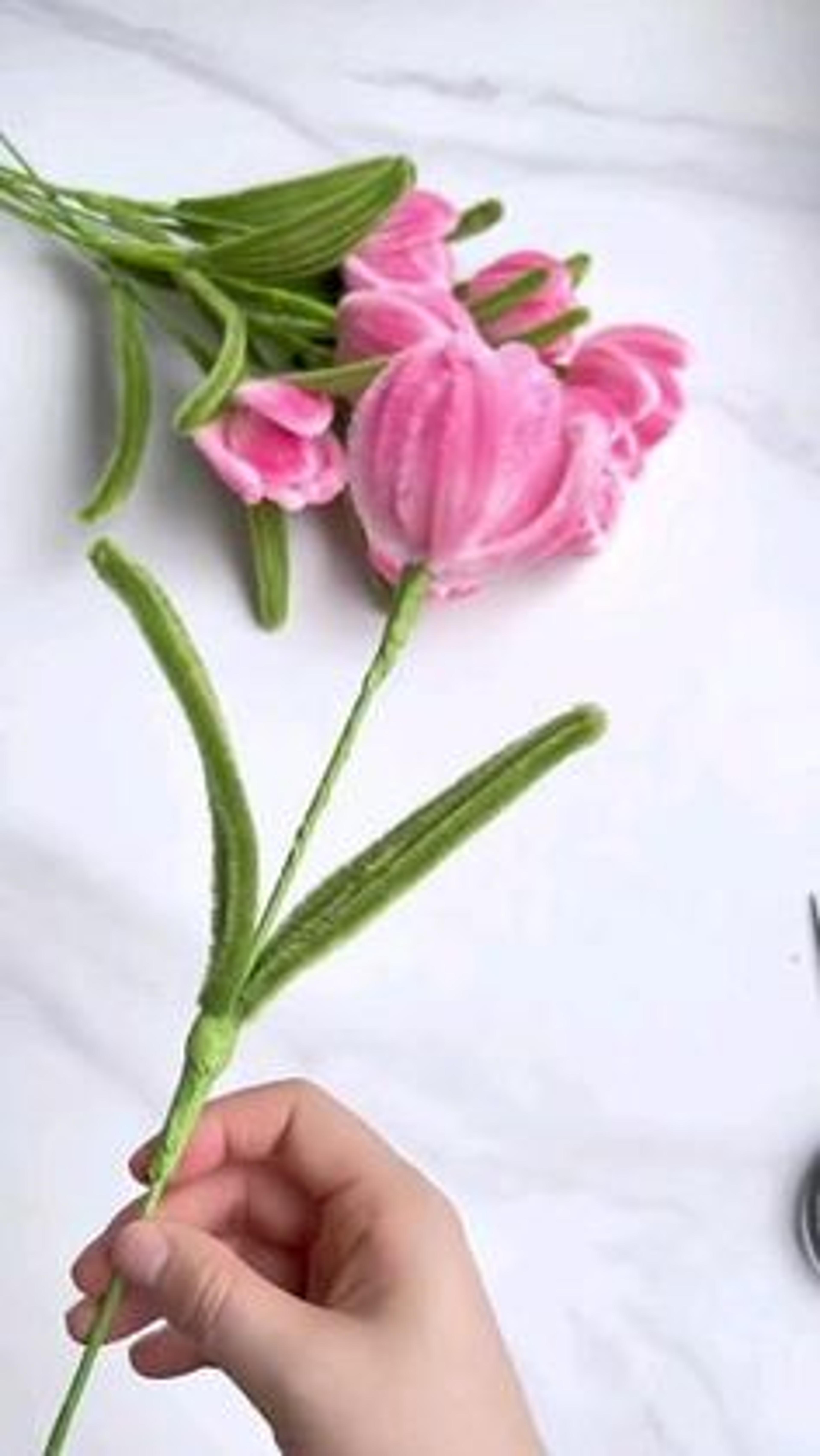 Shop cover image