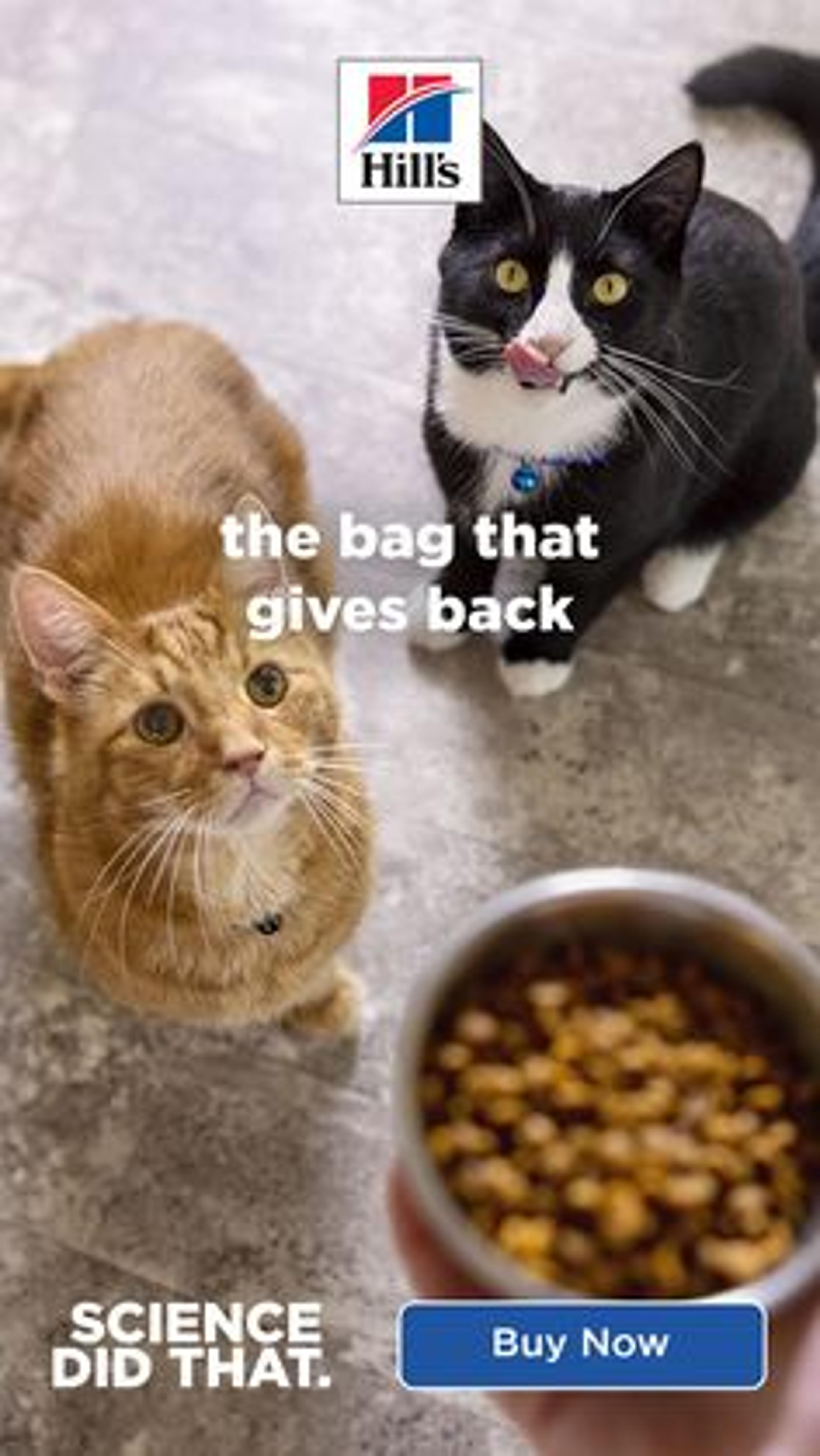 Shop cover image
