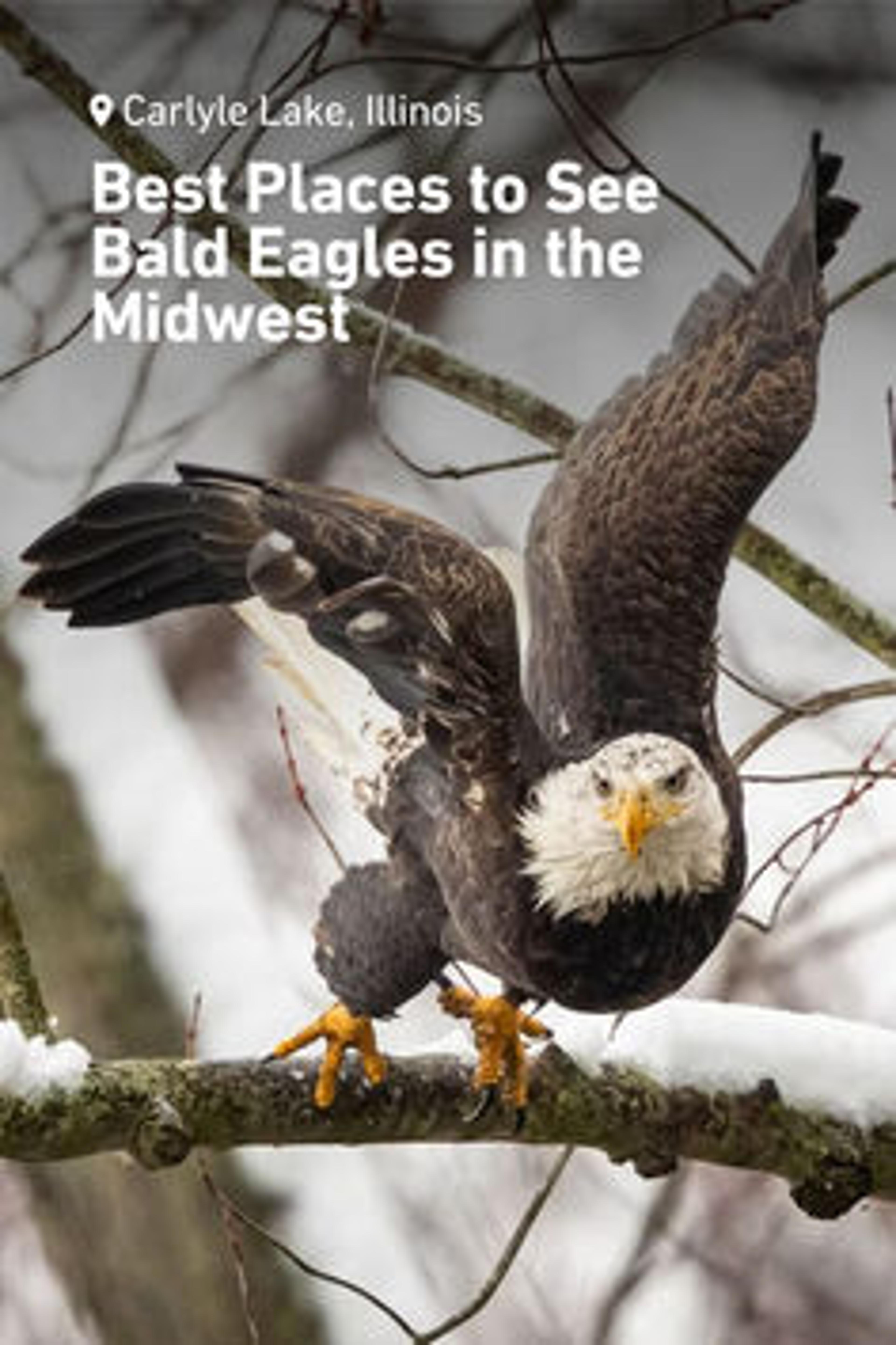 Shop cover image
