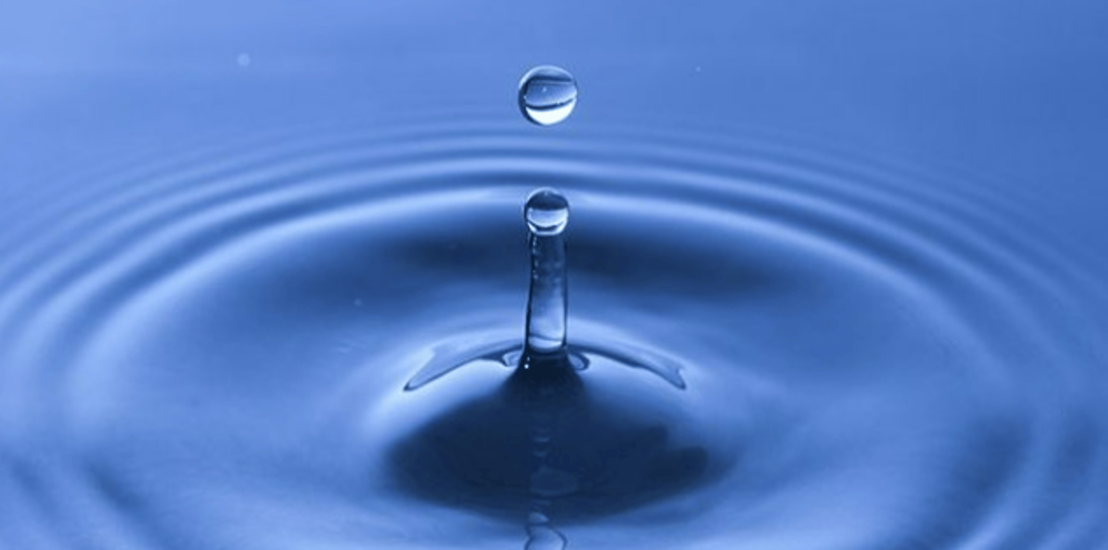 Shop cover image