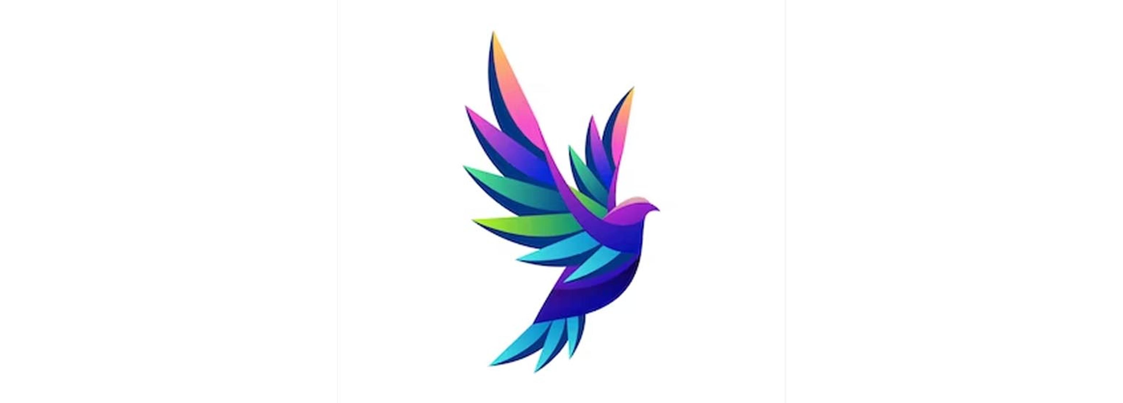 Shop cover image