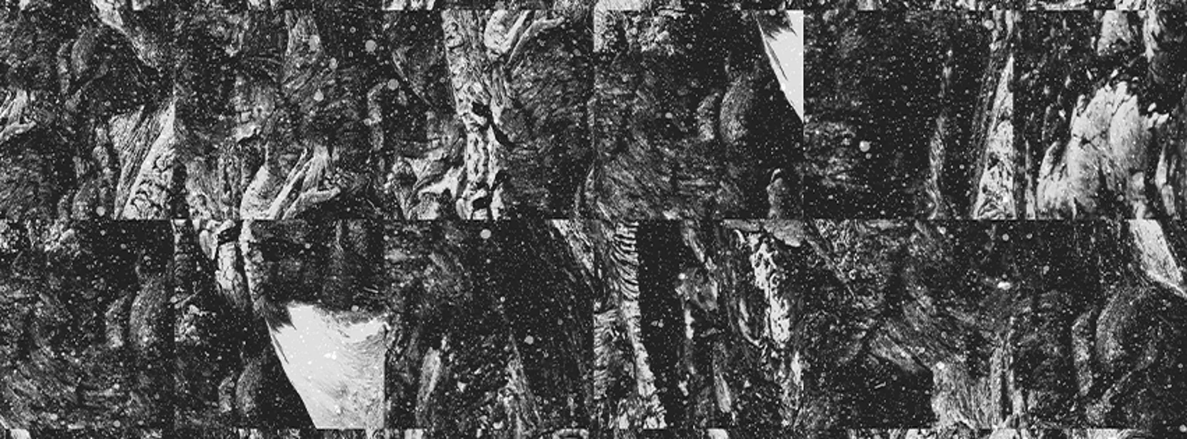 Shop cover image