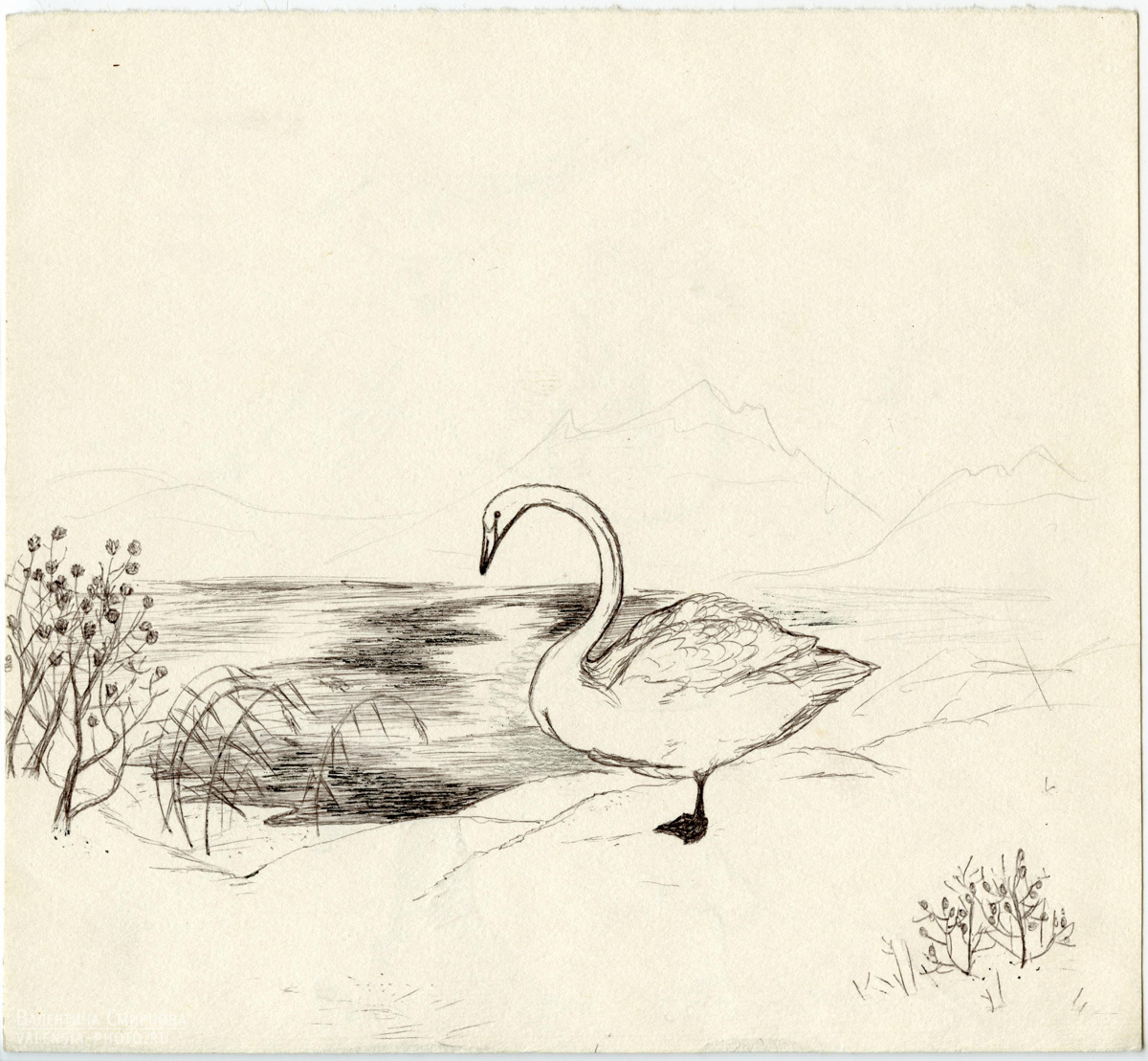 Shop cover image