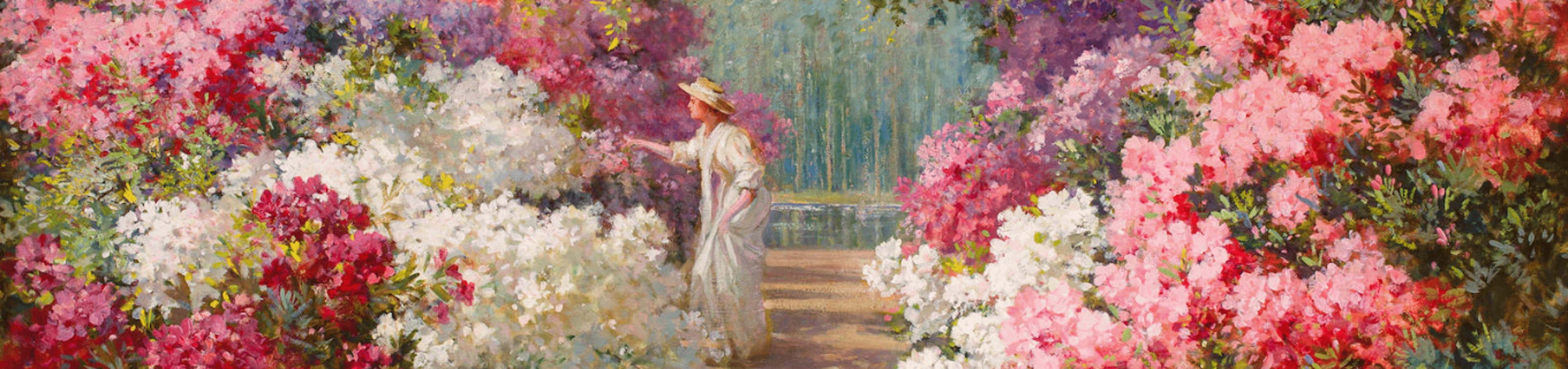 Shop cover image