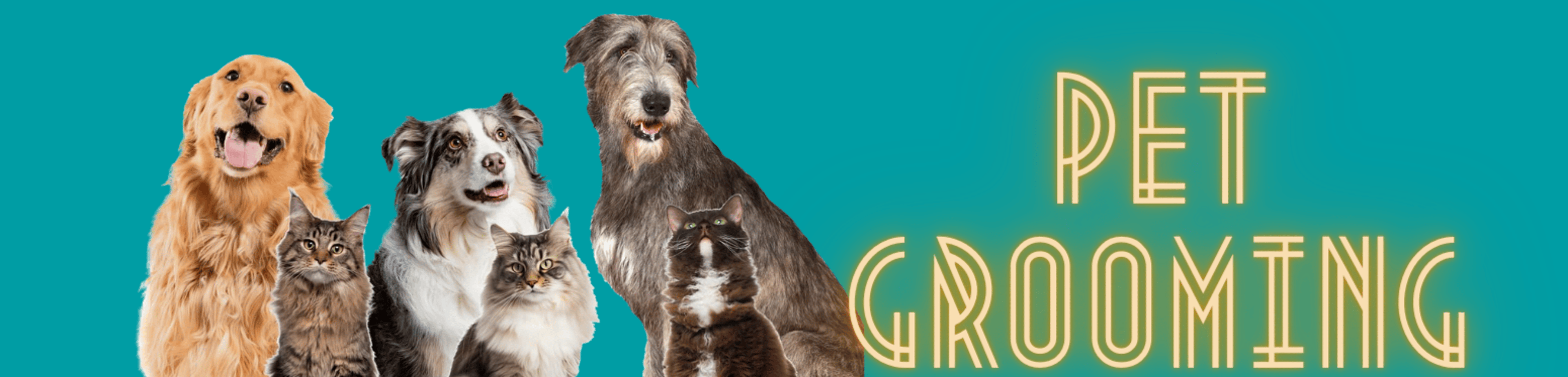 Shop cover image