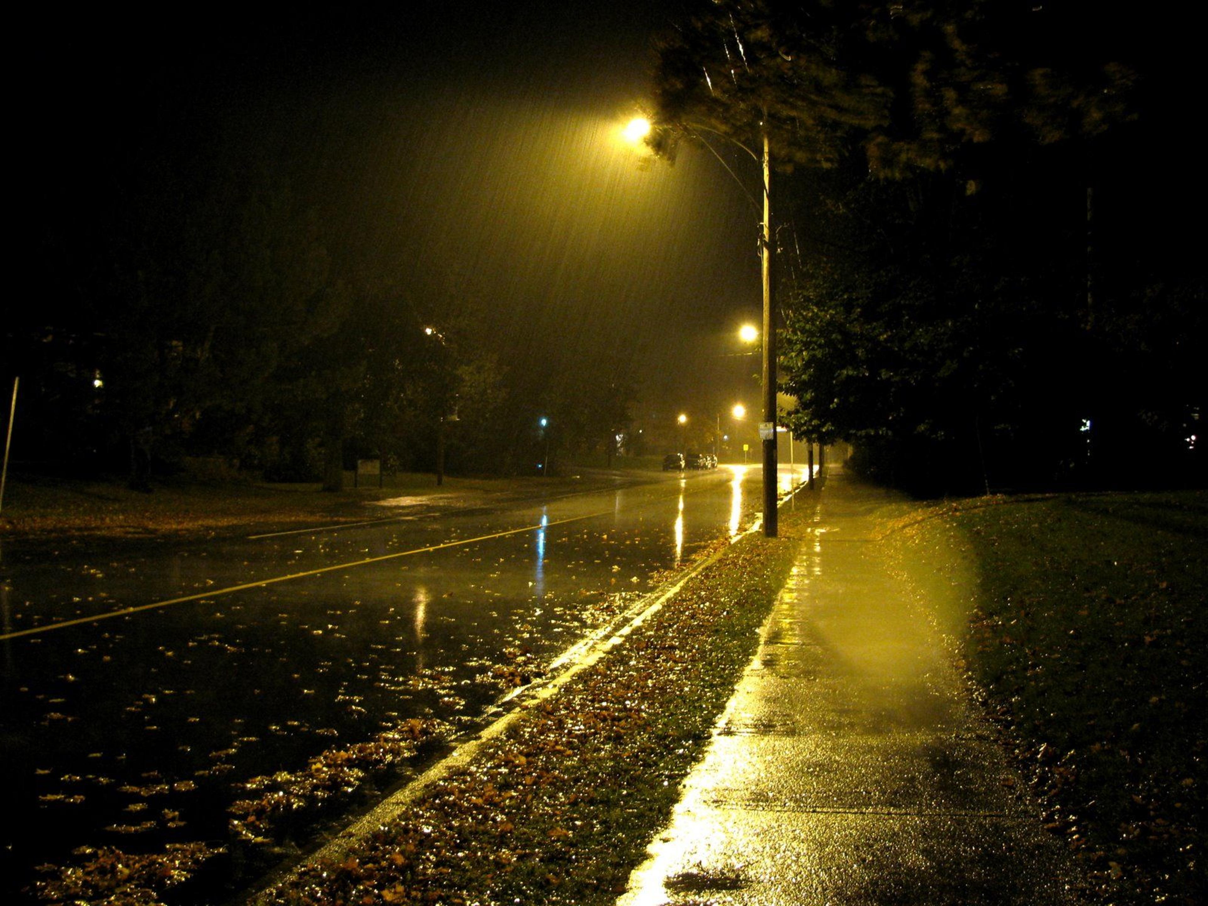 Shop cover image