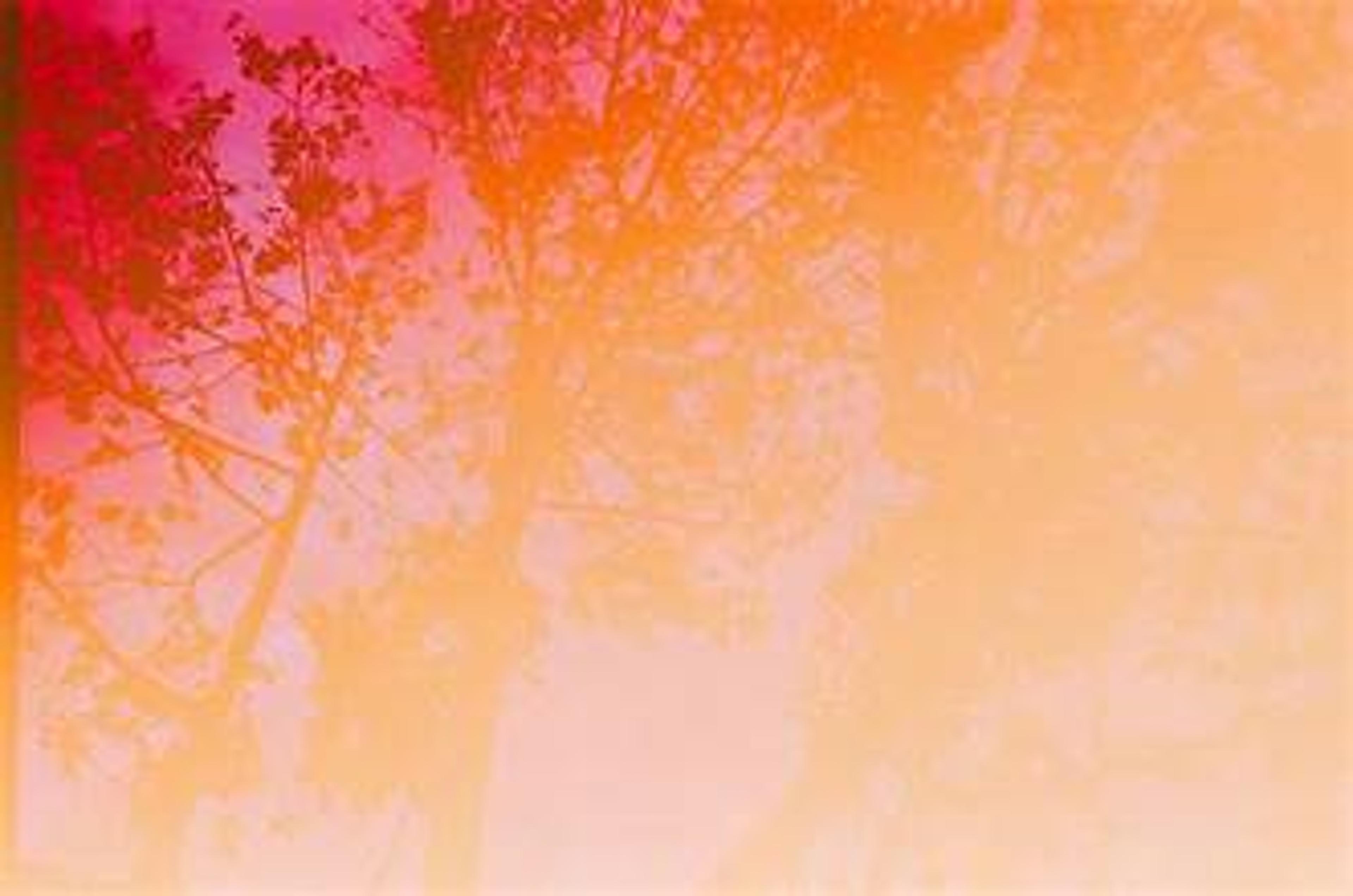 Shop cover image