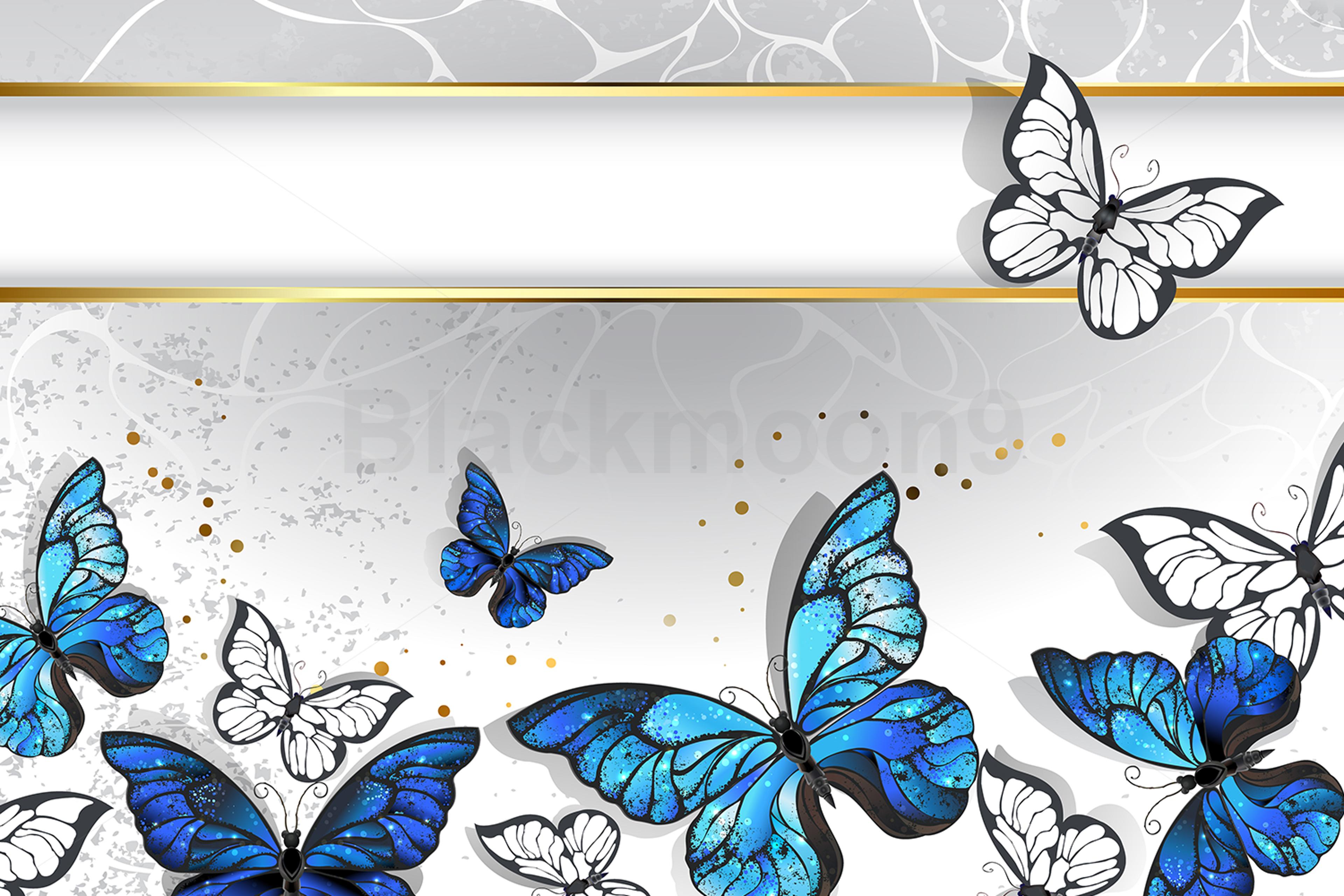 Shop cover image