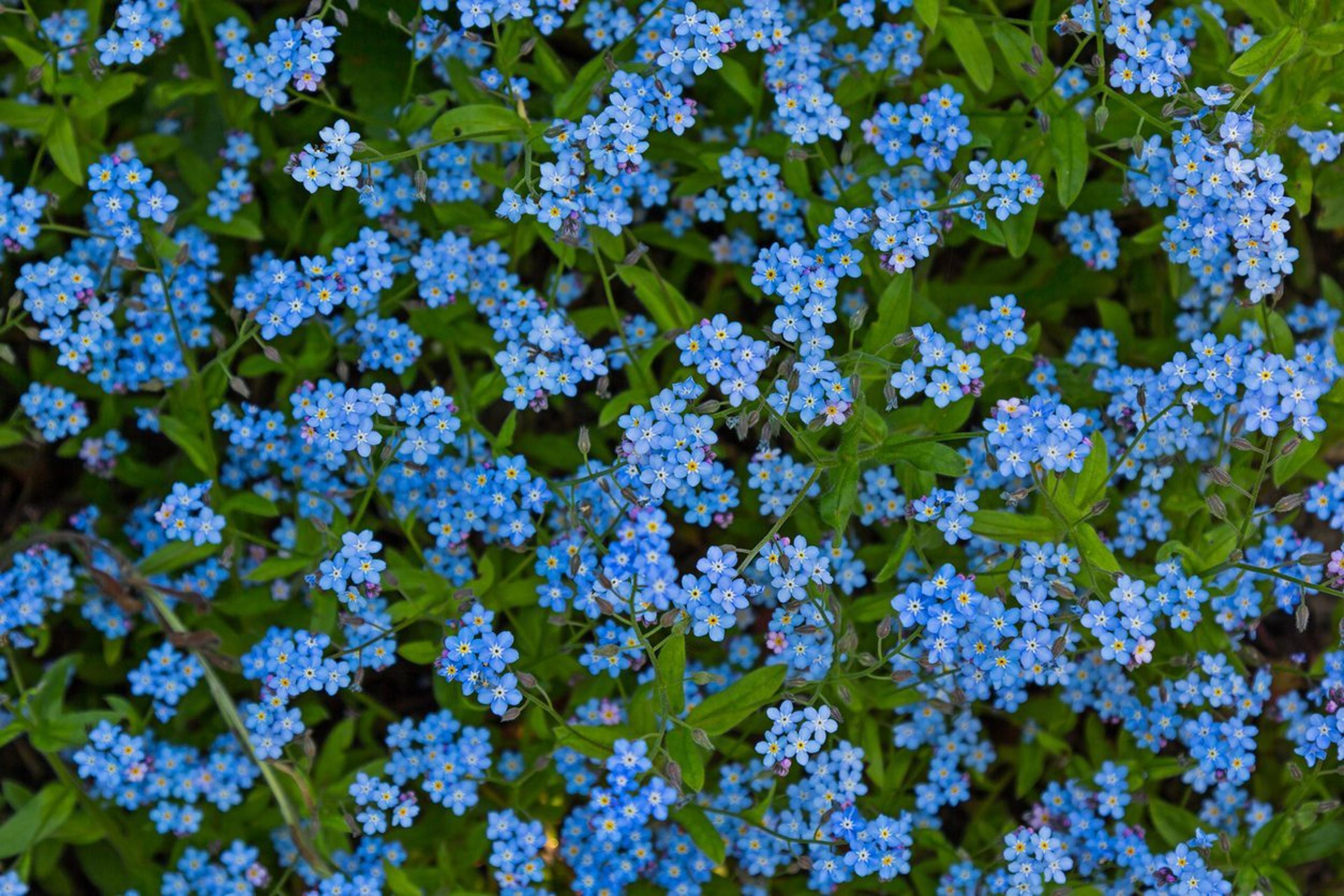 Shop cover image